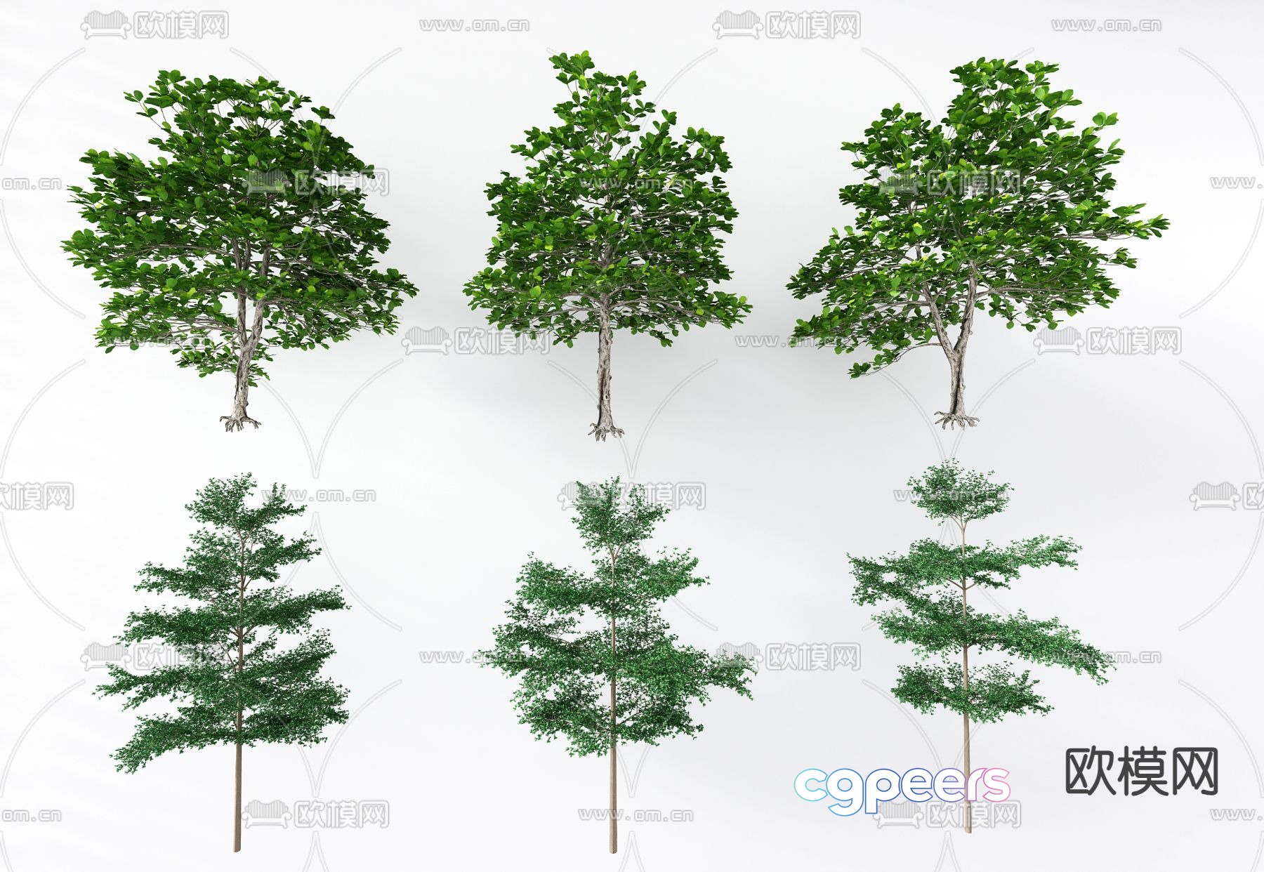 Landscape tree Tree lanren tree 3d model Landscape tree Tree lanren tree 3d model