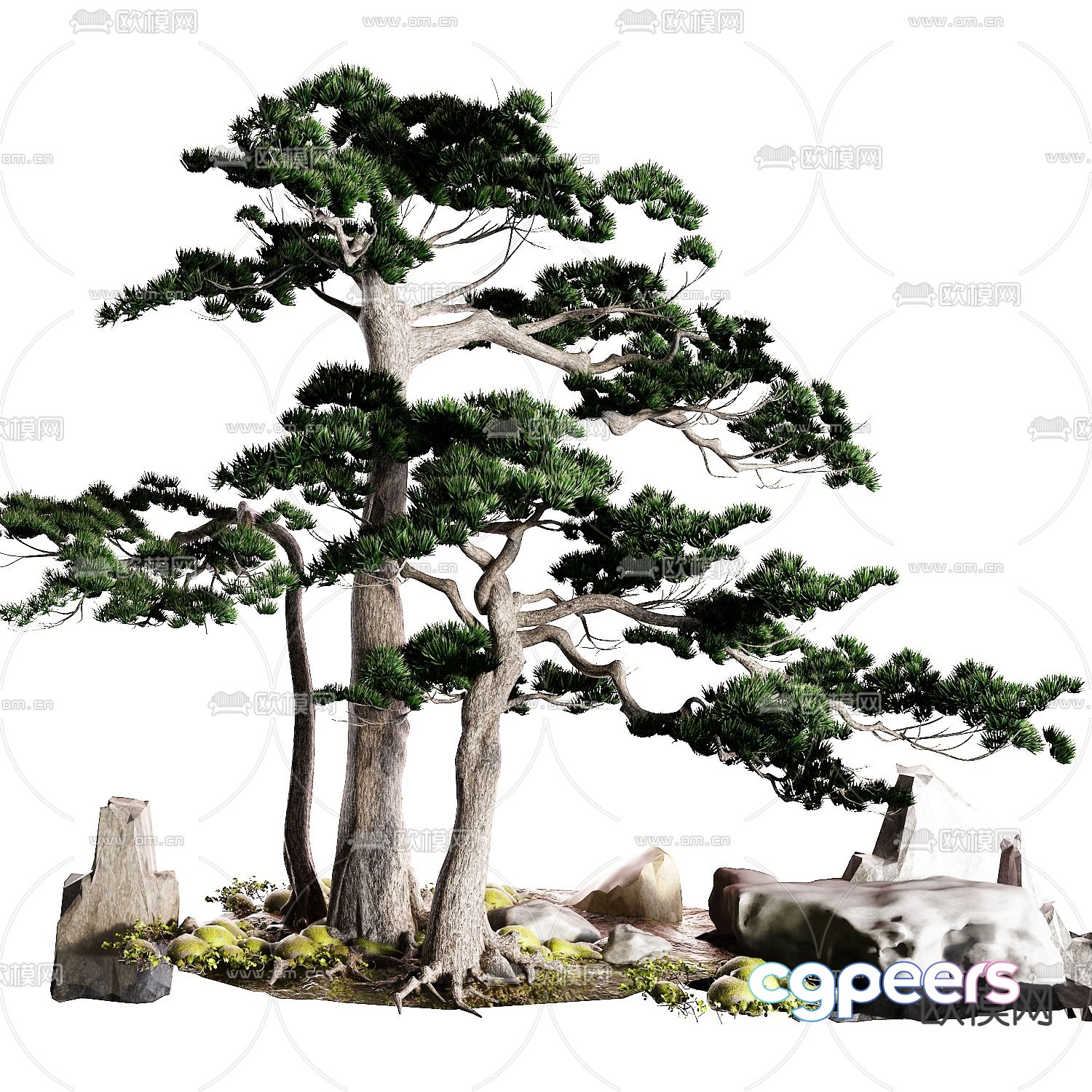 New Chinese style pine tree welcome pine 3d model New Chinese style pine tree welcome pine 3d model