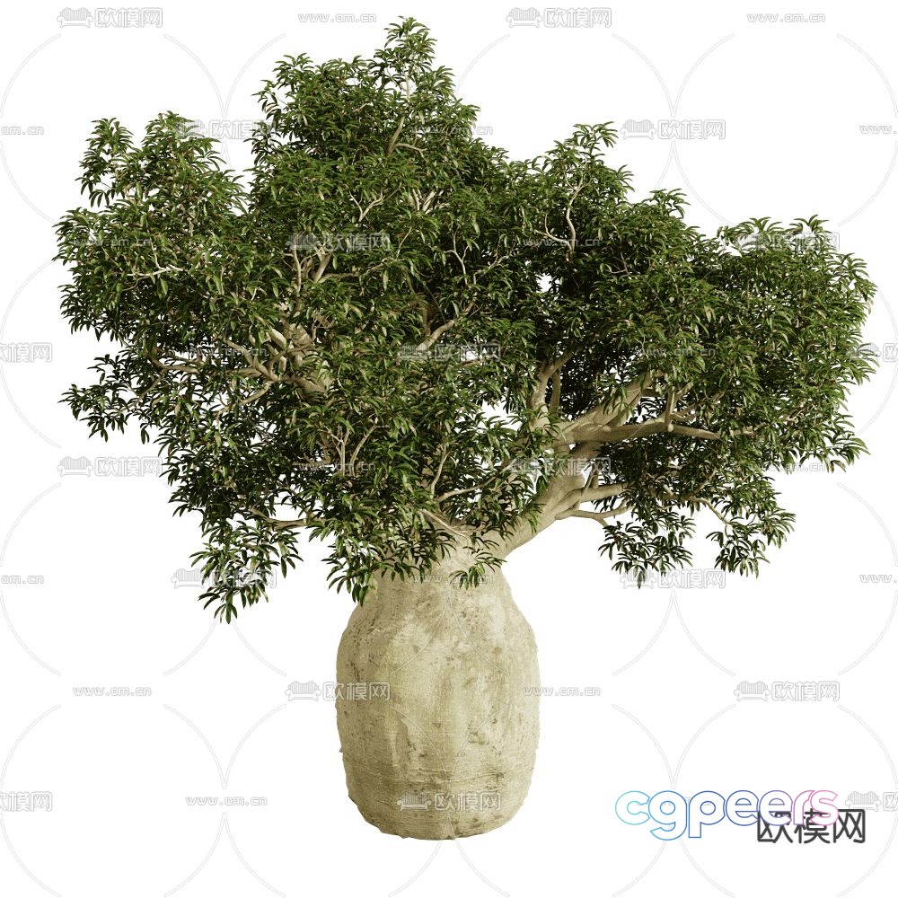 Landscape tree shrub plant 3d model Landscape tree shrub plant 3d model