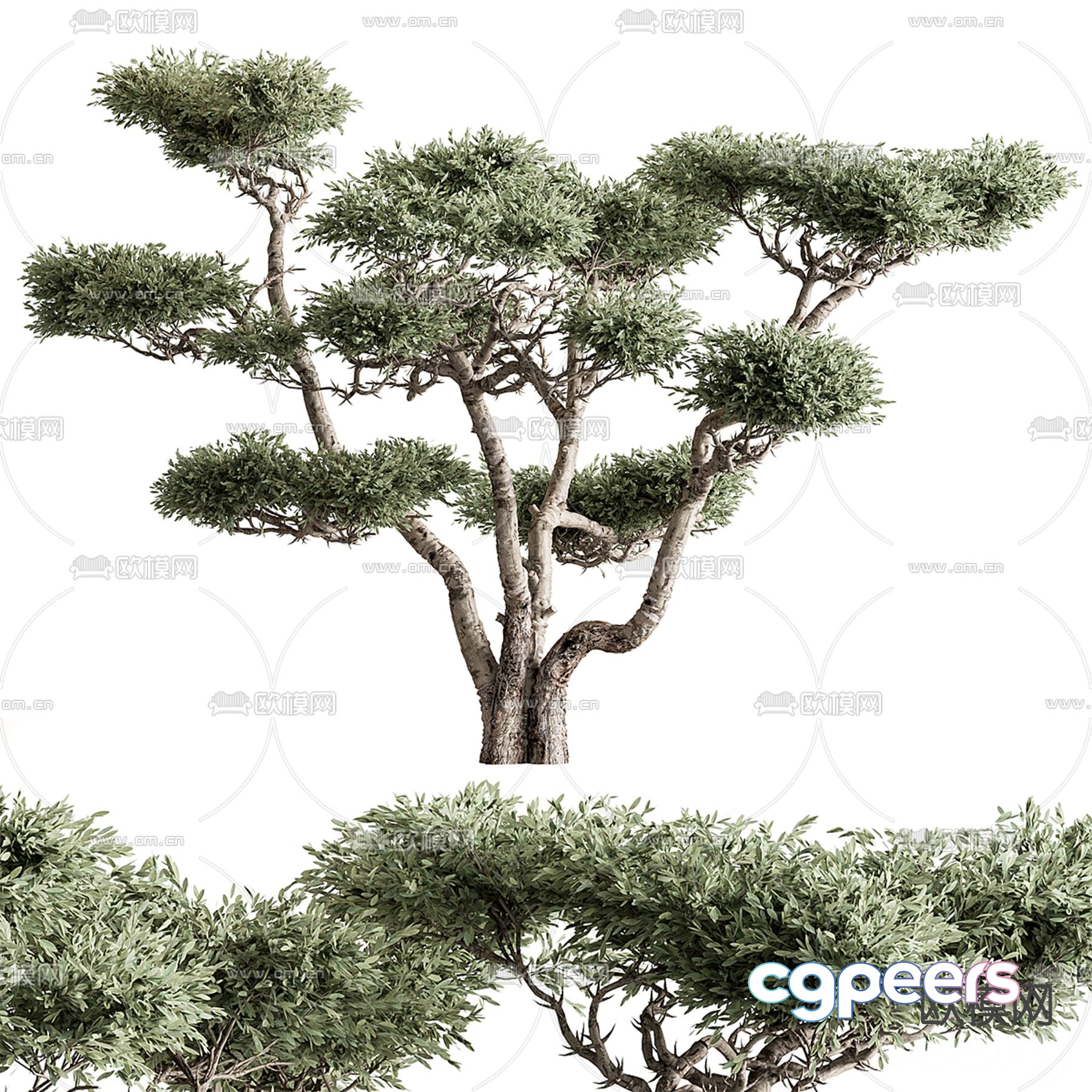 Landscape tree Big tree 3d model Landscape tree Big tree 3d model