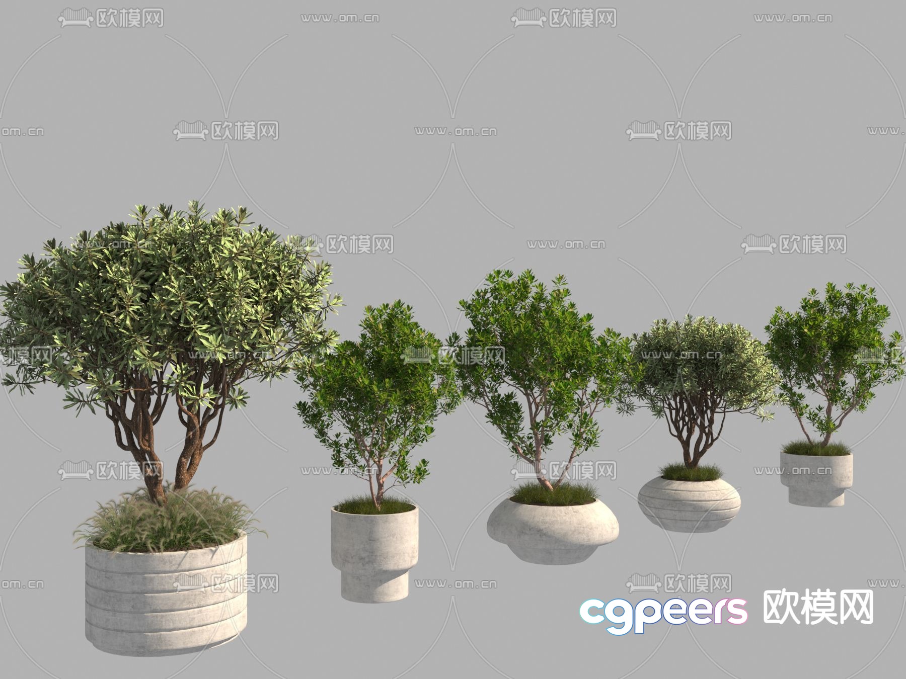 Potted plants Bonsai Tree Pool 3D Model Potted plants Bonsai Tree Pool 3D Model