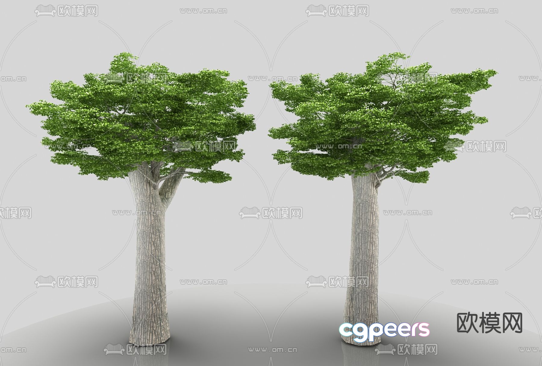 Landscape tree Garden tree Big tree Tree 3d model Landscape tree Garden tree Big tree Tree 3d model