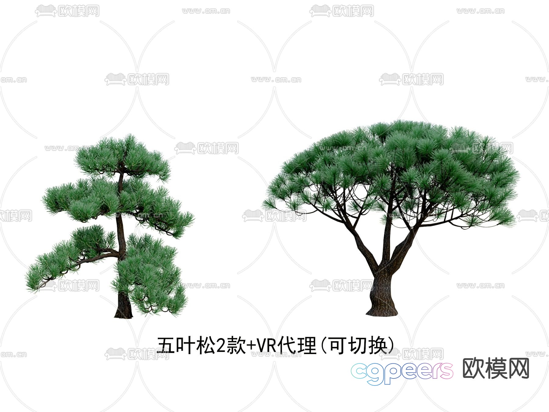 Five-leaf pine pine welcoming pine cypress big tree 3D model Five-leaf pine pine welcoming pine cypress big tree 3D model