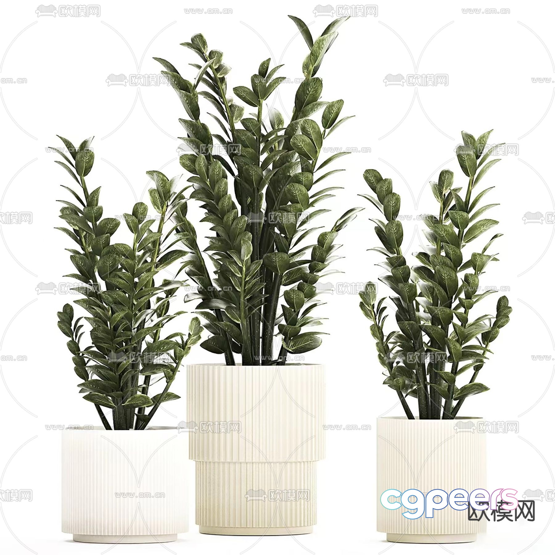 Indoor potted plant 3d model Indoor potted plant 3d model