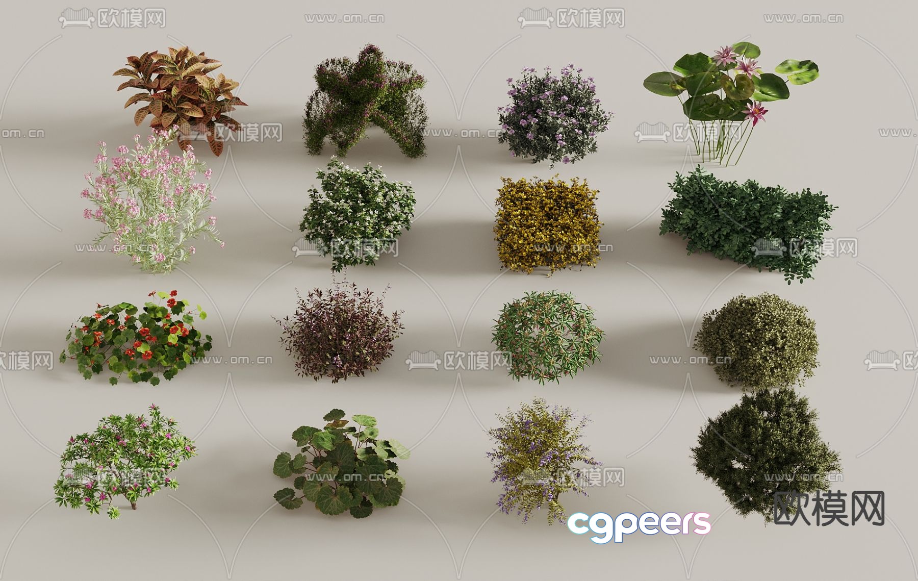 Flowers and plants 3d model Flowers and plants 3d model