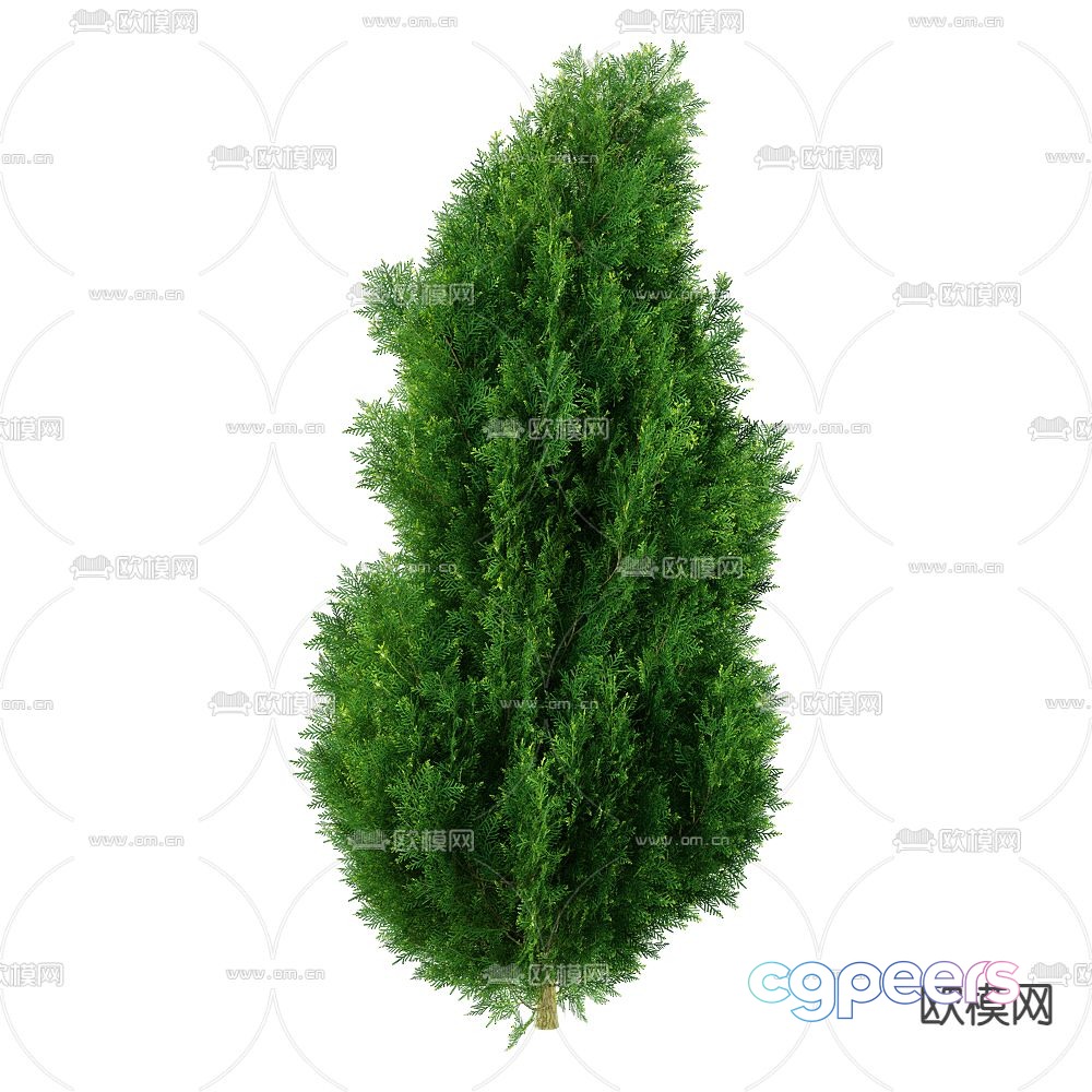 Pine Tree Landscape Tree Shrub Plant 3D Model Pine Tree Landscape Tree Shrub Plant 3D Model