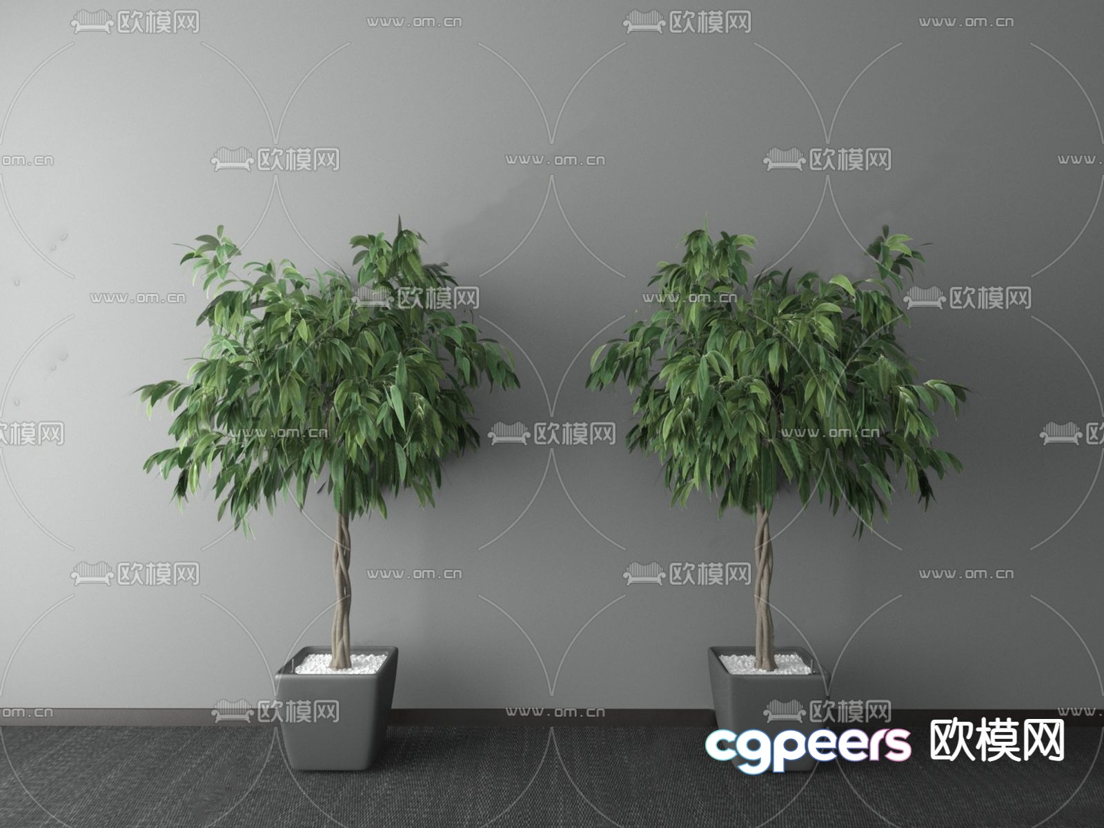 Modern money tree potted 3D model Modern money tree potted 3D model