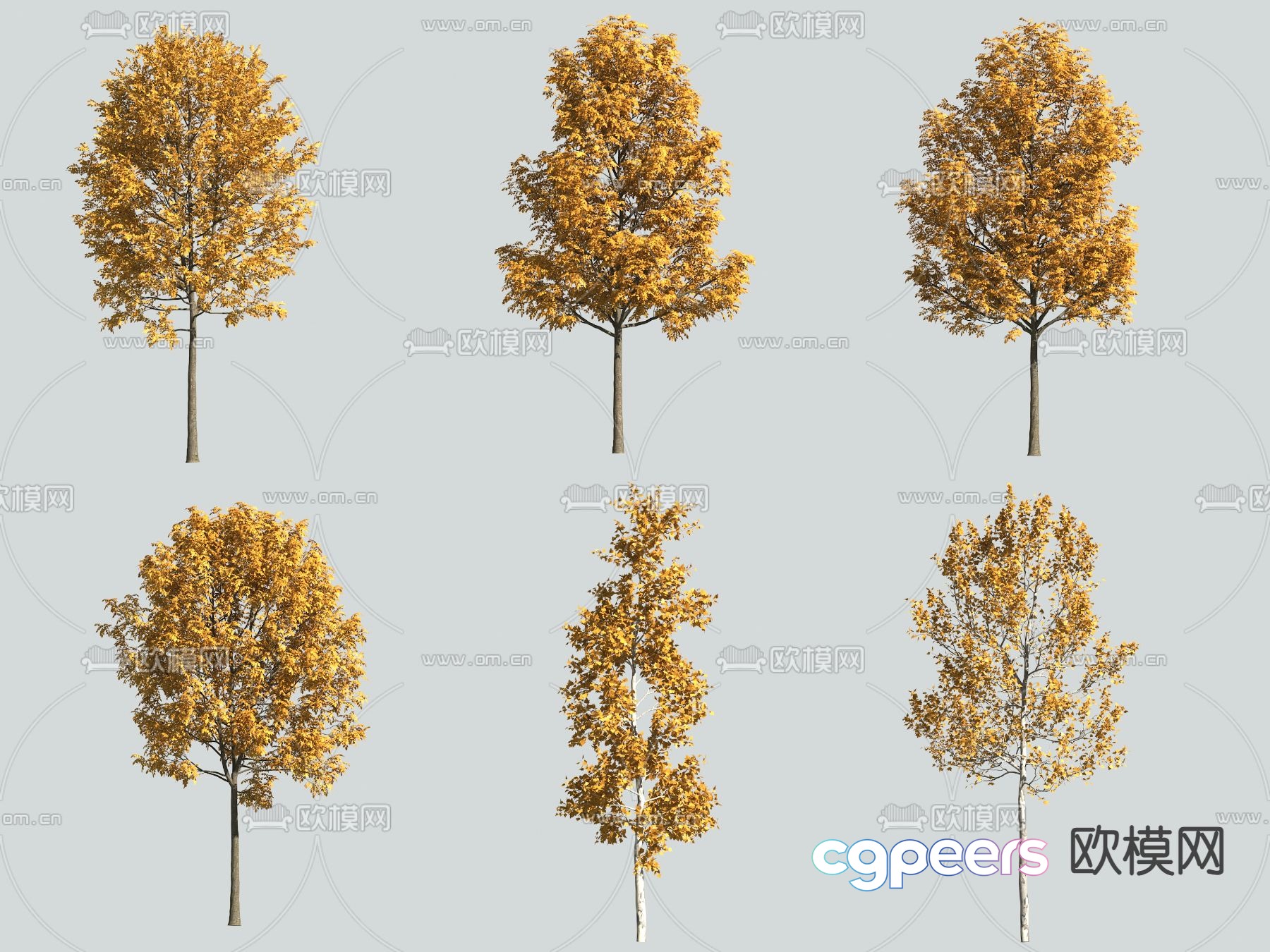 Big tree Yellow leaf tree Autumn tree 3d model Big tree Yellow leaf tree Autumn tree 3d model