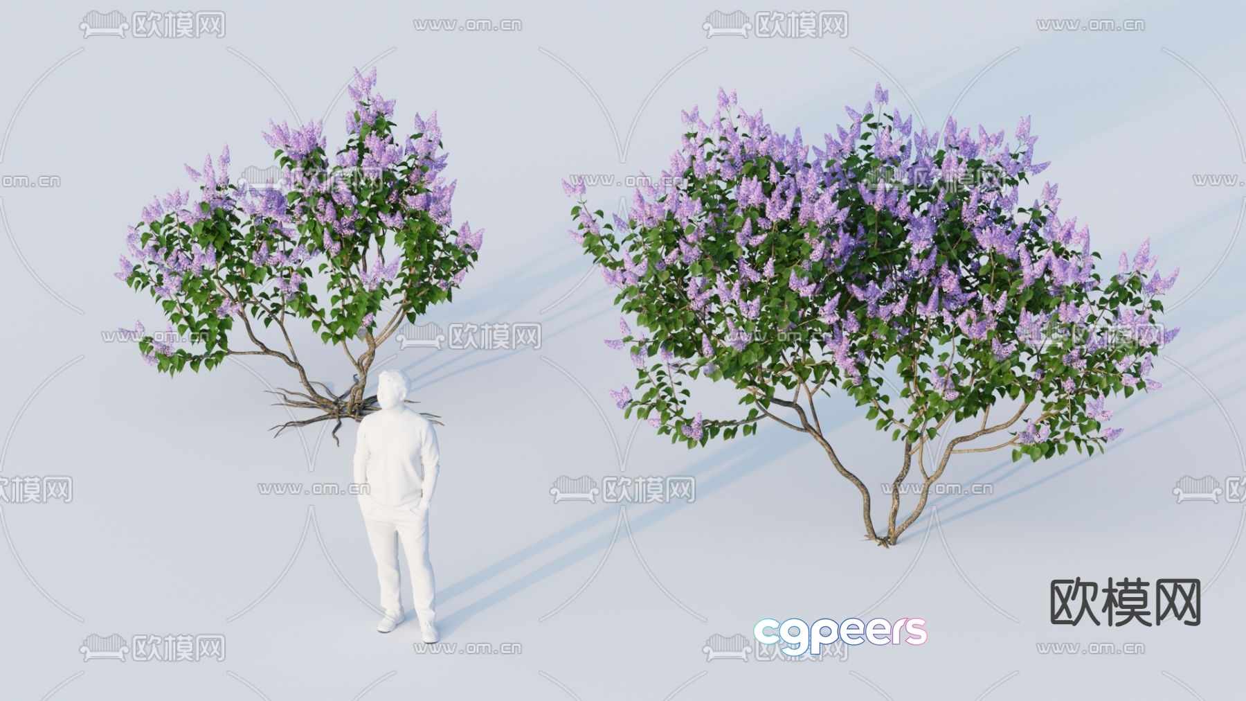 Landscape tree Flower tree Crabbit myrtle tree 3d model Landscape tree Flower tree Crabbit myrtle tree 3d model
