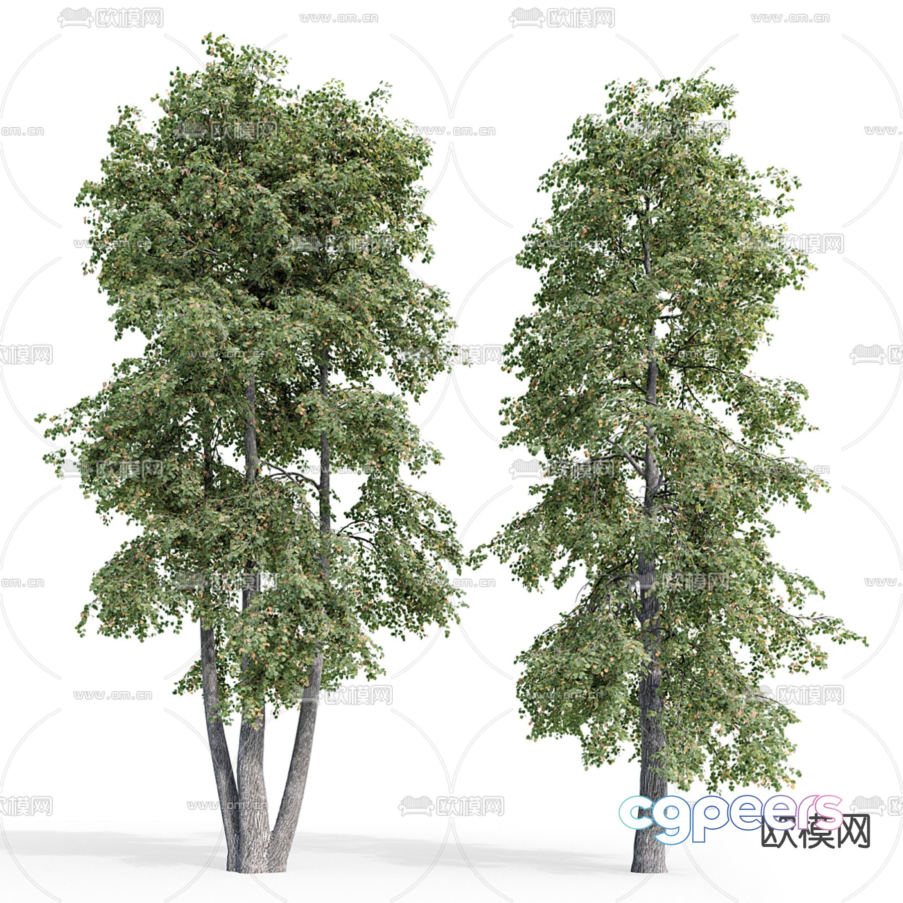 Big tree Bodhi tree Landscape tree 3d model Big tree Bodhi tree Landscape tree 3d model
