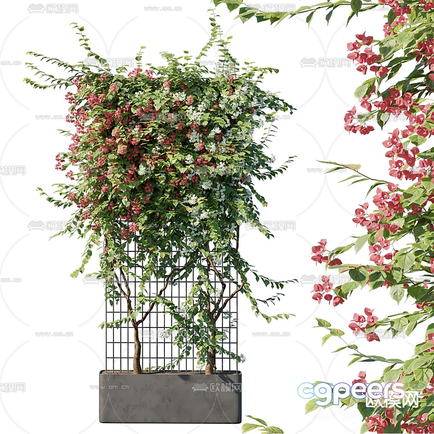 Landscape tree courtyard tree flower tree arbor 3d model Landscape tree courtyard tree flower tree arbor 3d model