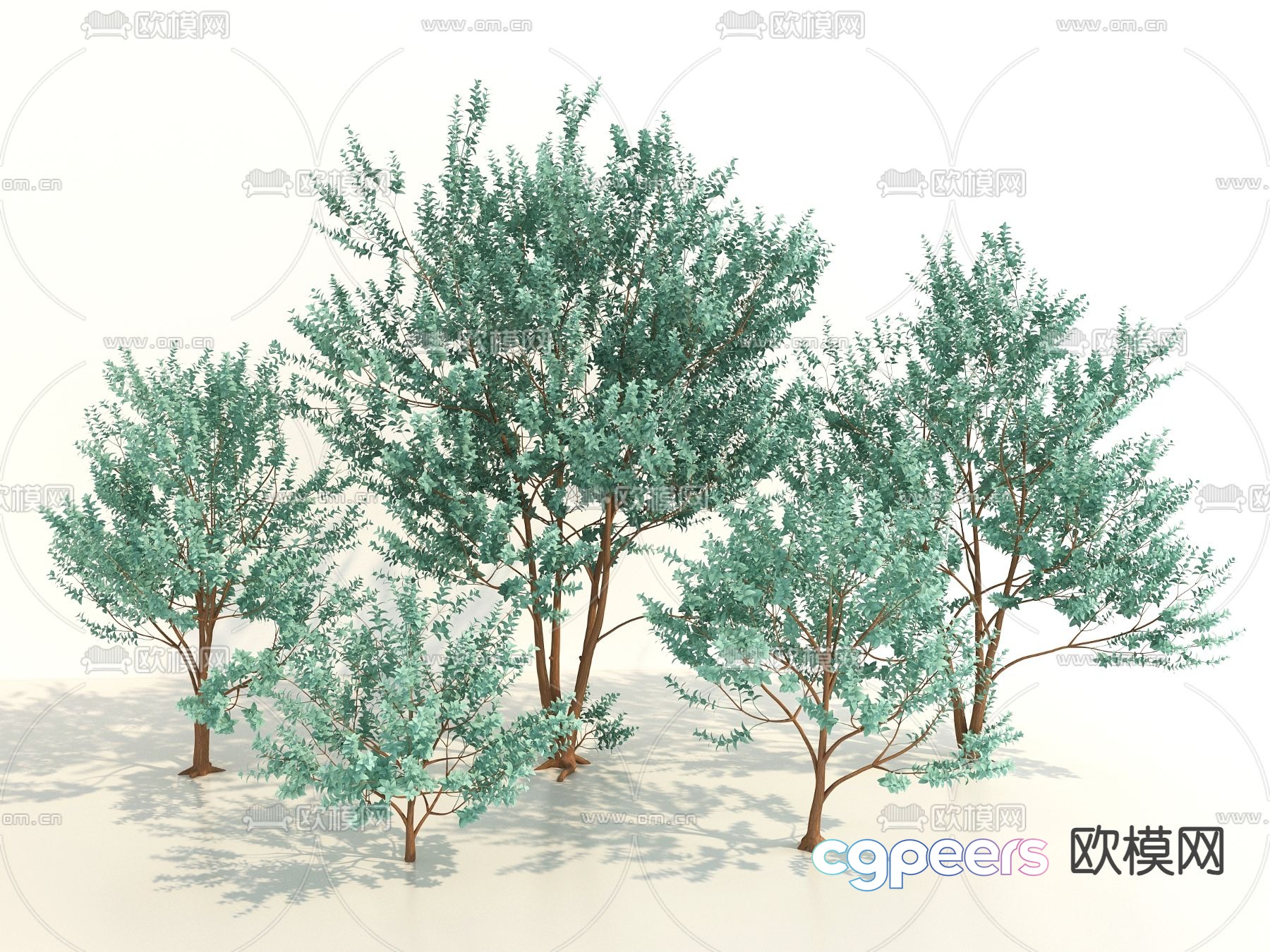 Modern plants Landscape tree 3d model Modern plants Landscape tree 3d model