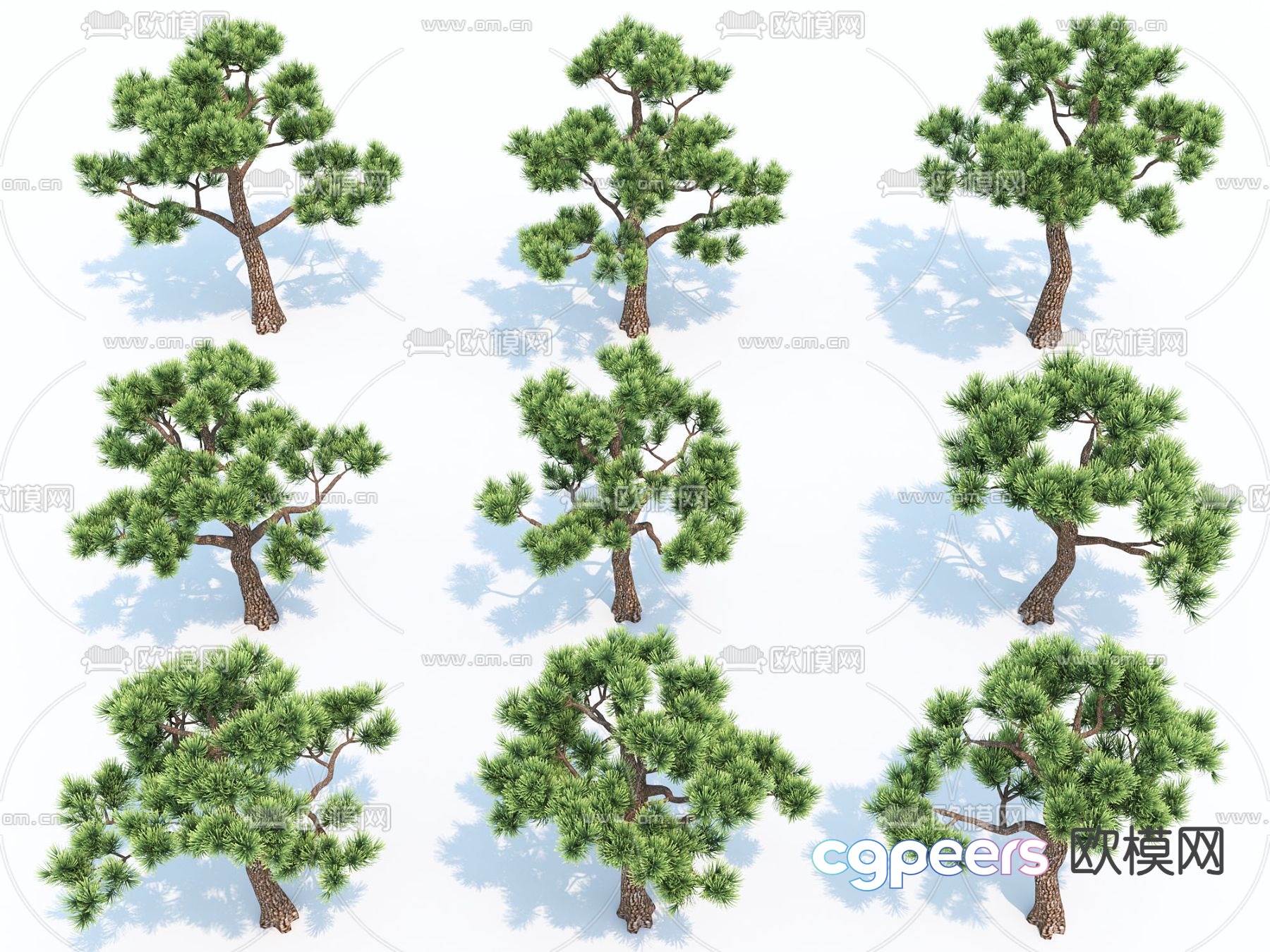 Modern Trees 3d Model Modern Trees 3d Model