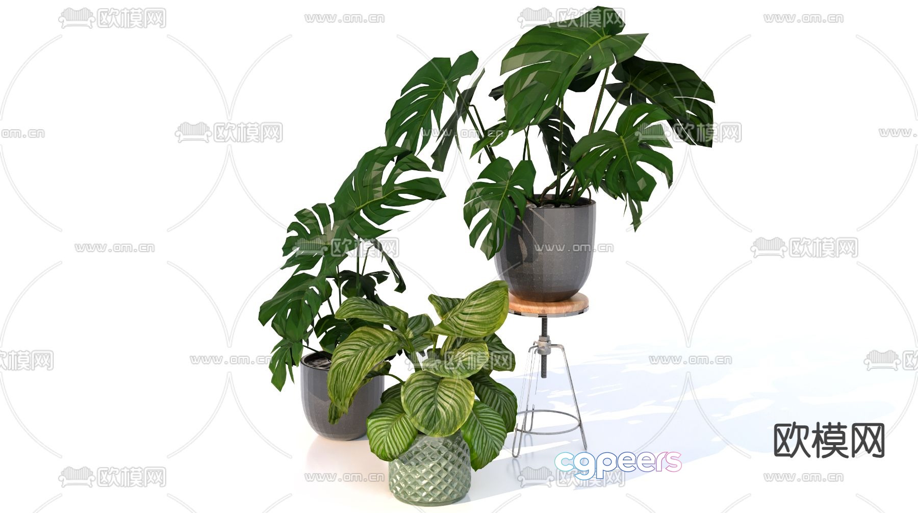 Plant potted Monstera 3d model Plant potted Monstera 3d model