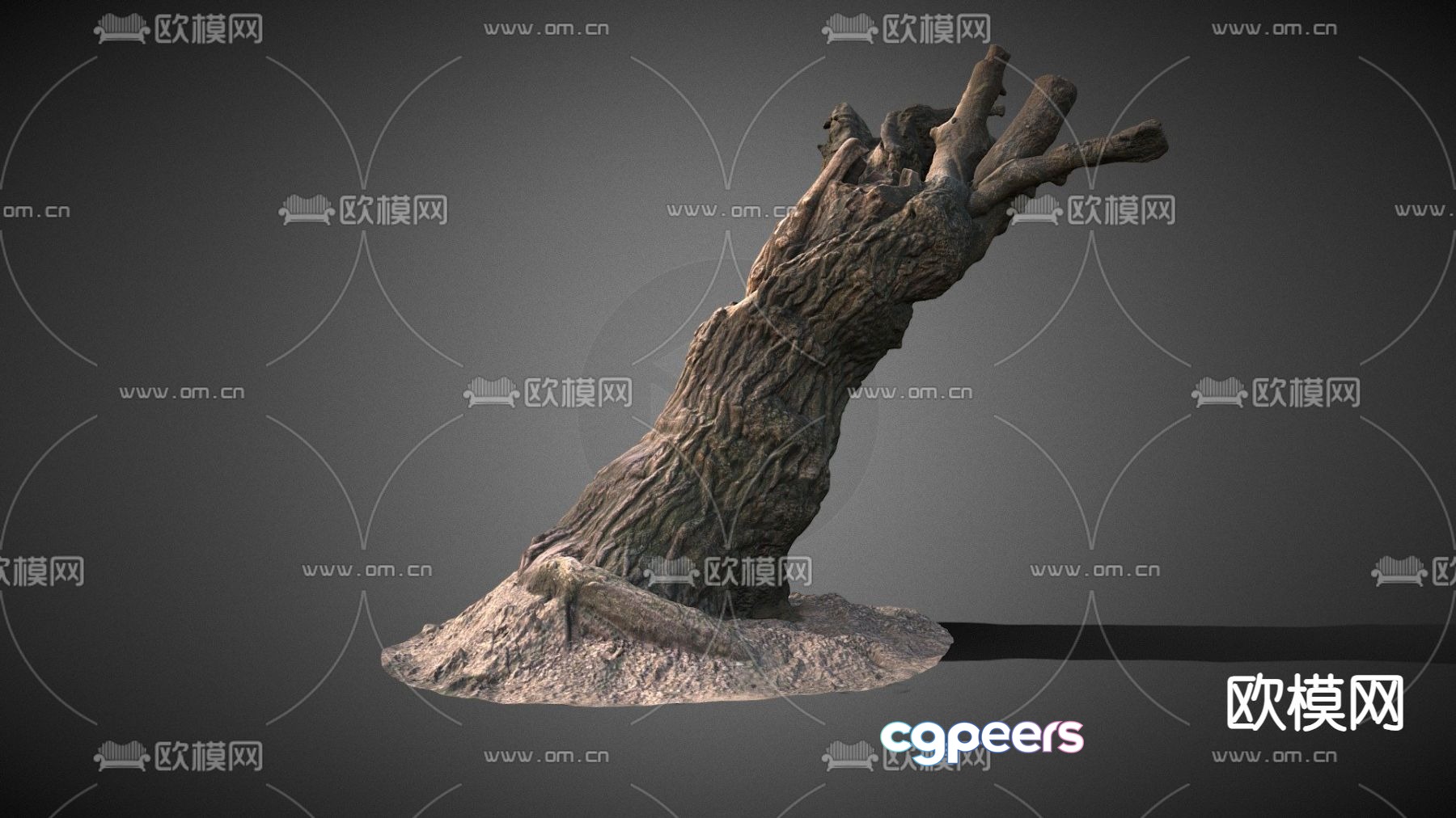 Modern trunk 3d model Modern trunk 3d model