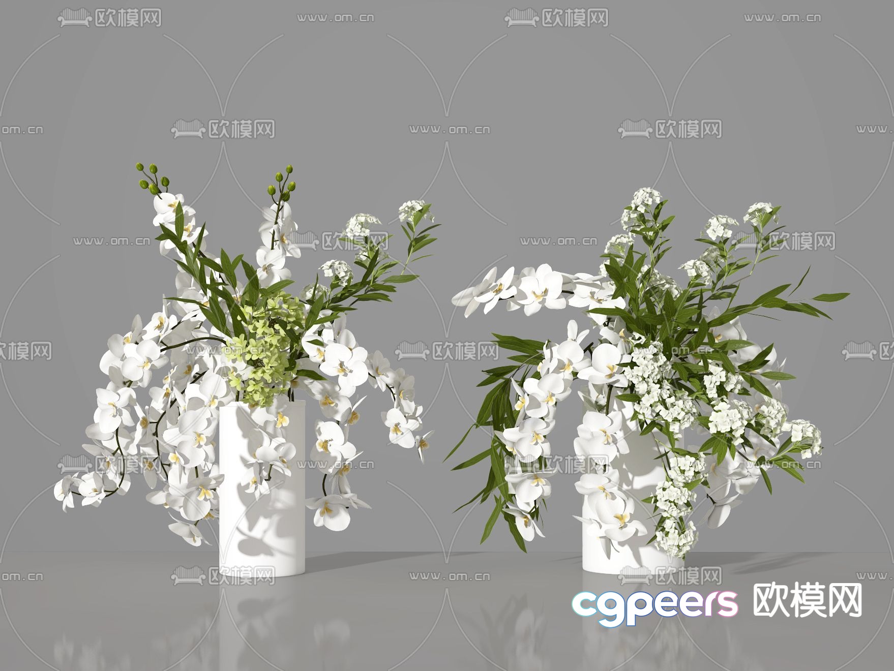 Plant Phalaenopsis 3d model Plant Phalaenopsis 3d model