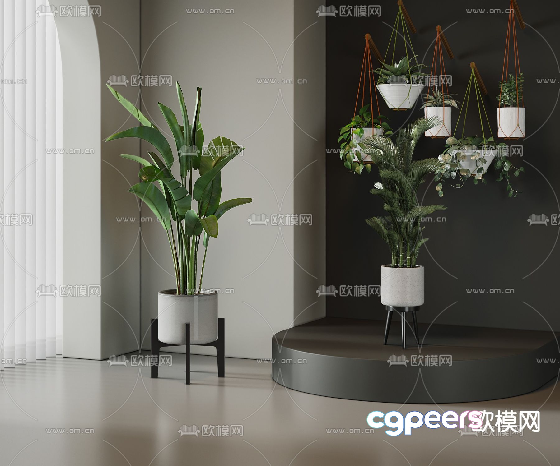 Potted Plant 3D Model Potted Plant 3D Model