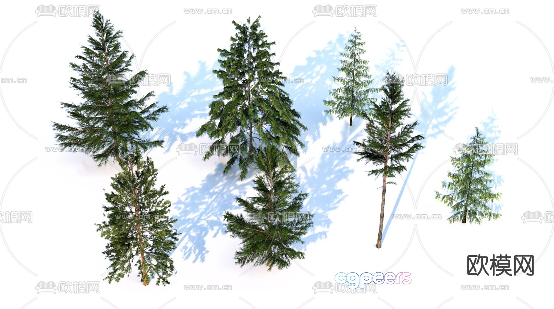 Pine tree cedar landscape tree 3d model Pine tree cedar landscape tree 3d model