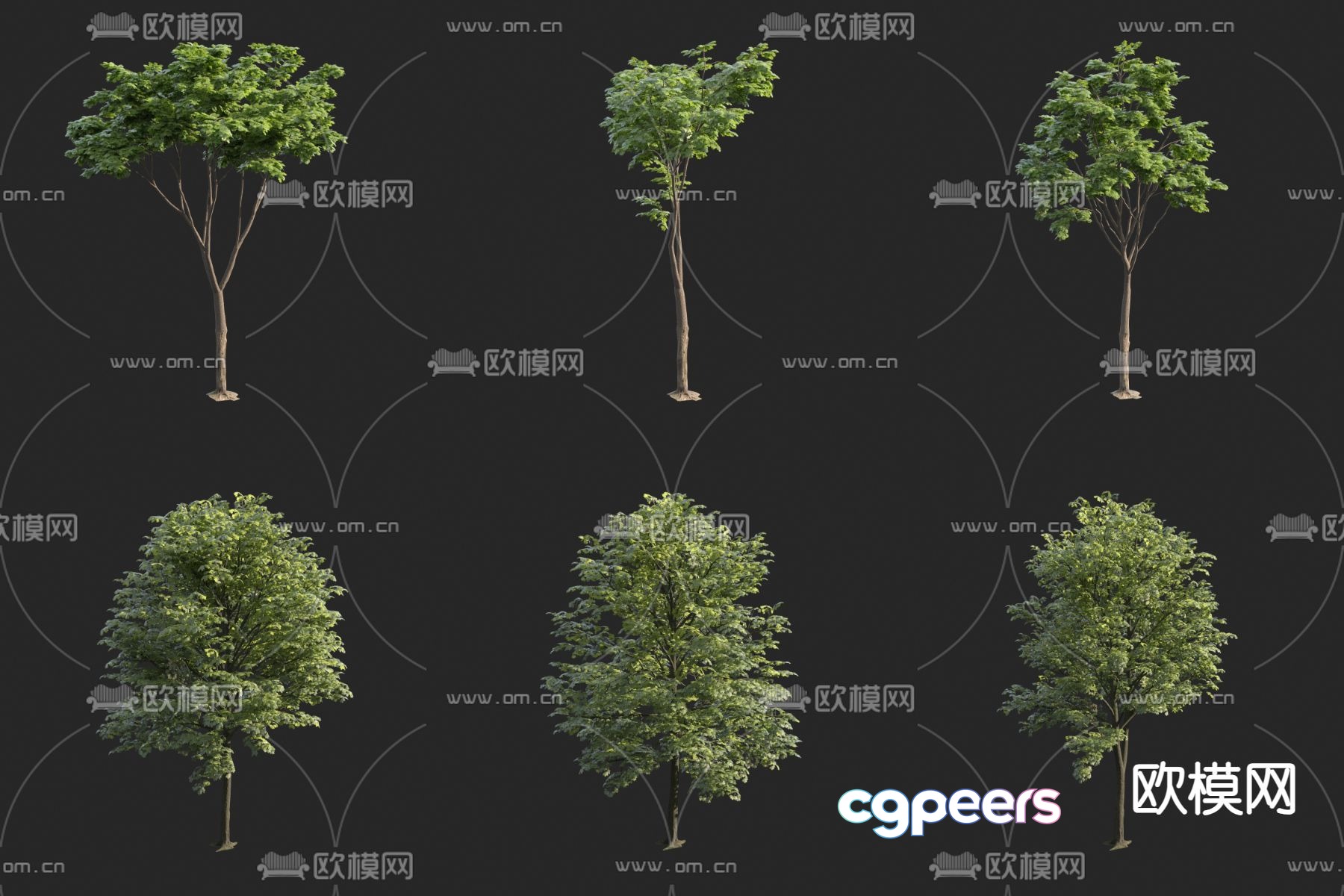 Tree Plant 3D Model Tree Plant 3D Model