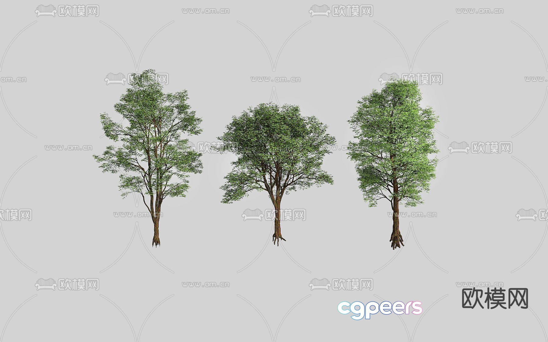 Arbor trees 3d model Arbor trees 3d model