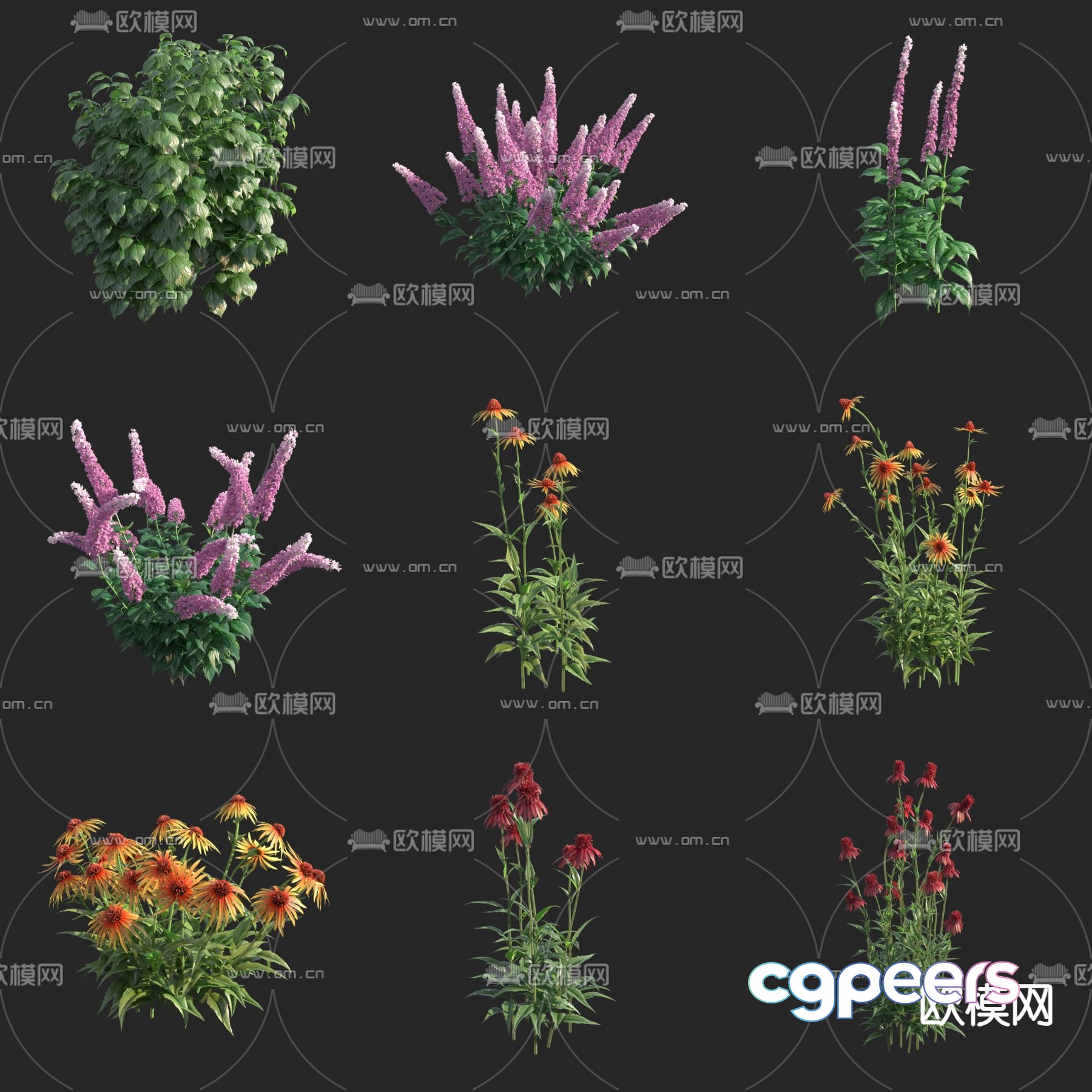 Flowers shrubs weeds mixed flowers 3d model Flowers shrubs weeds mixed flowers 3d model