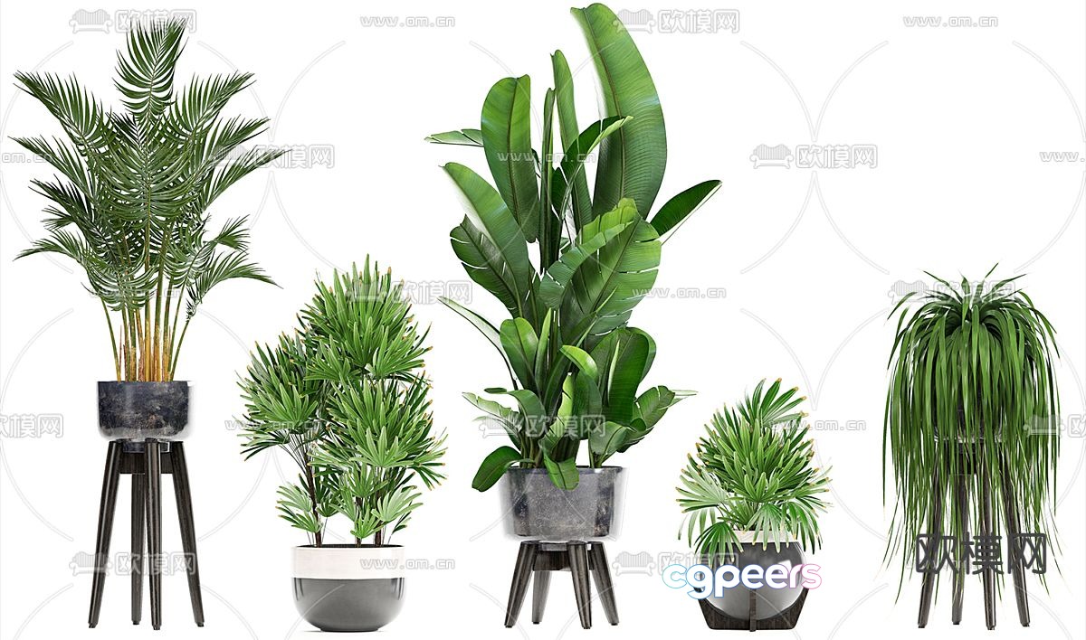 Potted Plant Flower Pot 3D Model Potted Plant Flower Pot 3D Model