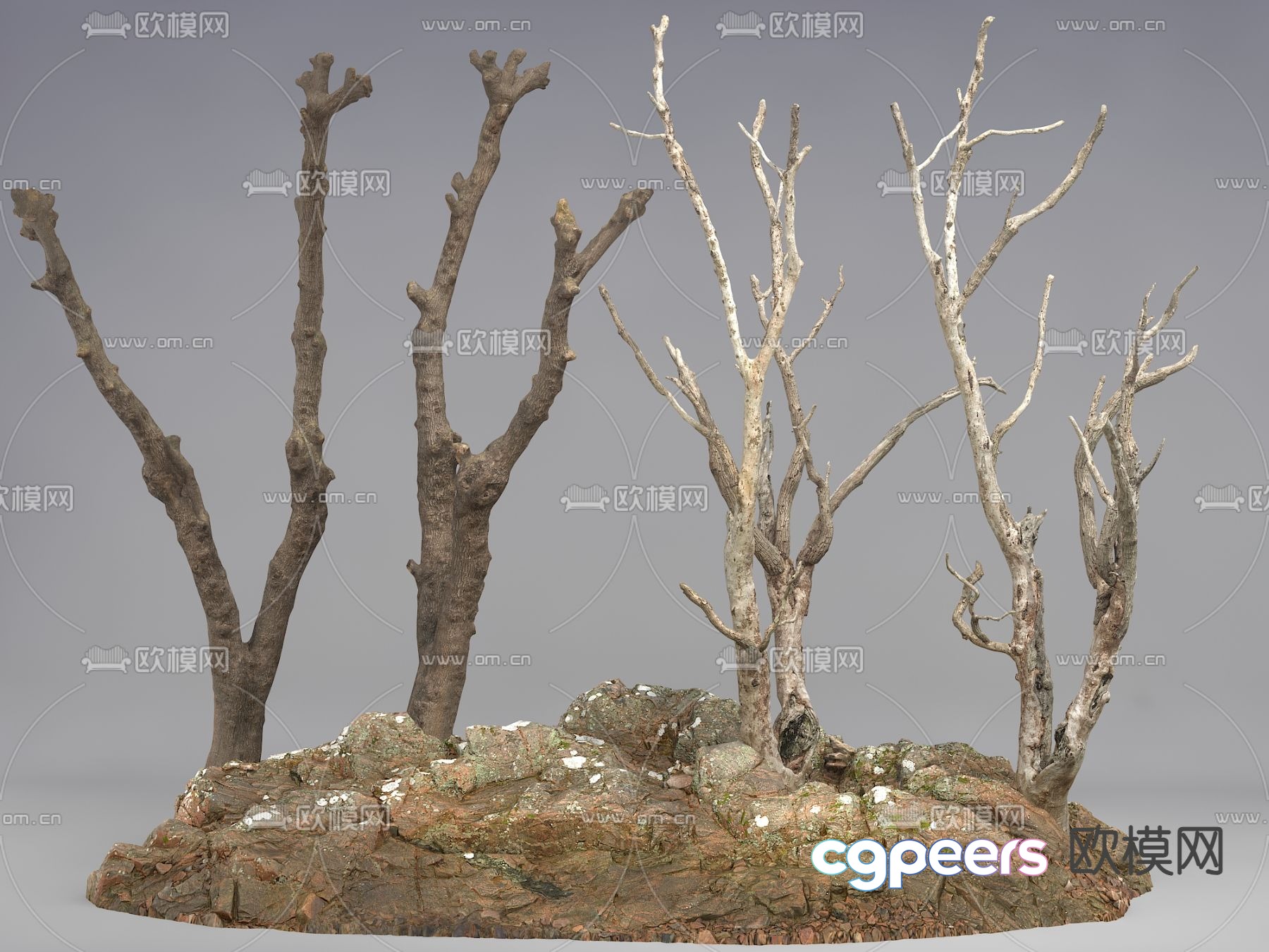 tree trunk dead branch 3d model tree trunk dead branch 3d model