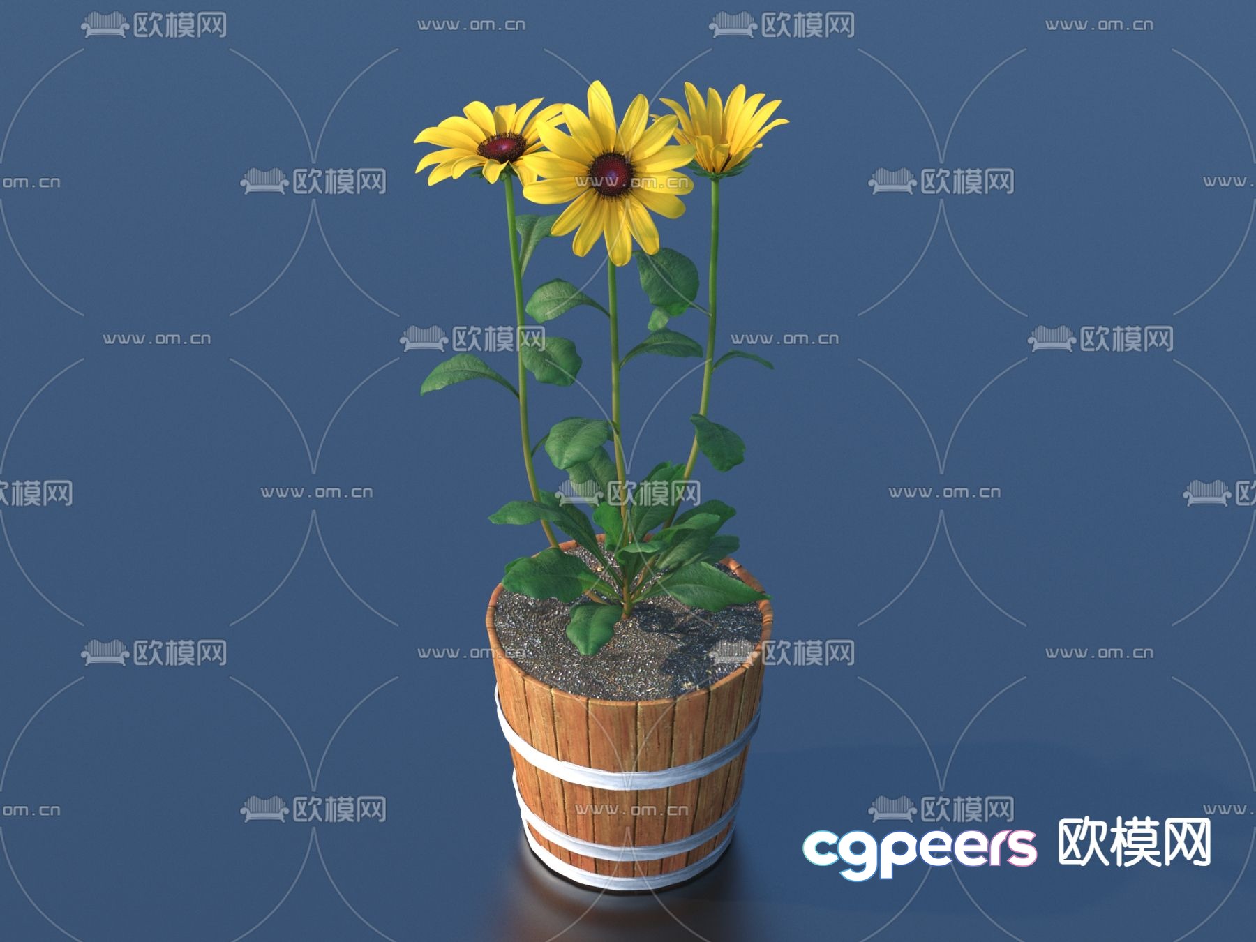 Flower pot pot green plant 3d model Flower pot pot green plant 3d model