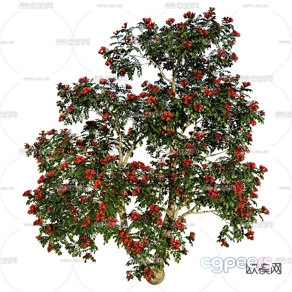Flower Tree Landscape Tree Ornamental Tree 3D Model Flower Tree Landscape Tree Ornamental Tree 3D Model