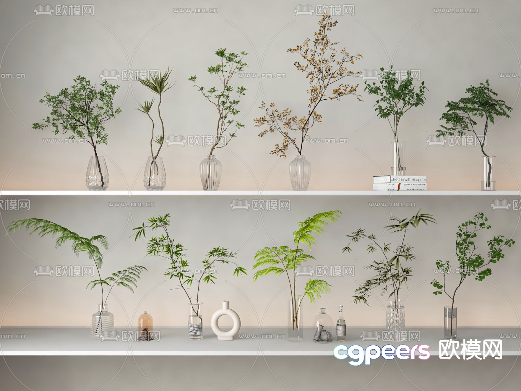 Aquatic plants hydroponic green plants 3d model Aquatic plants hydroponic green plants 3d model