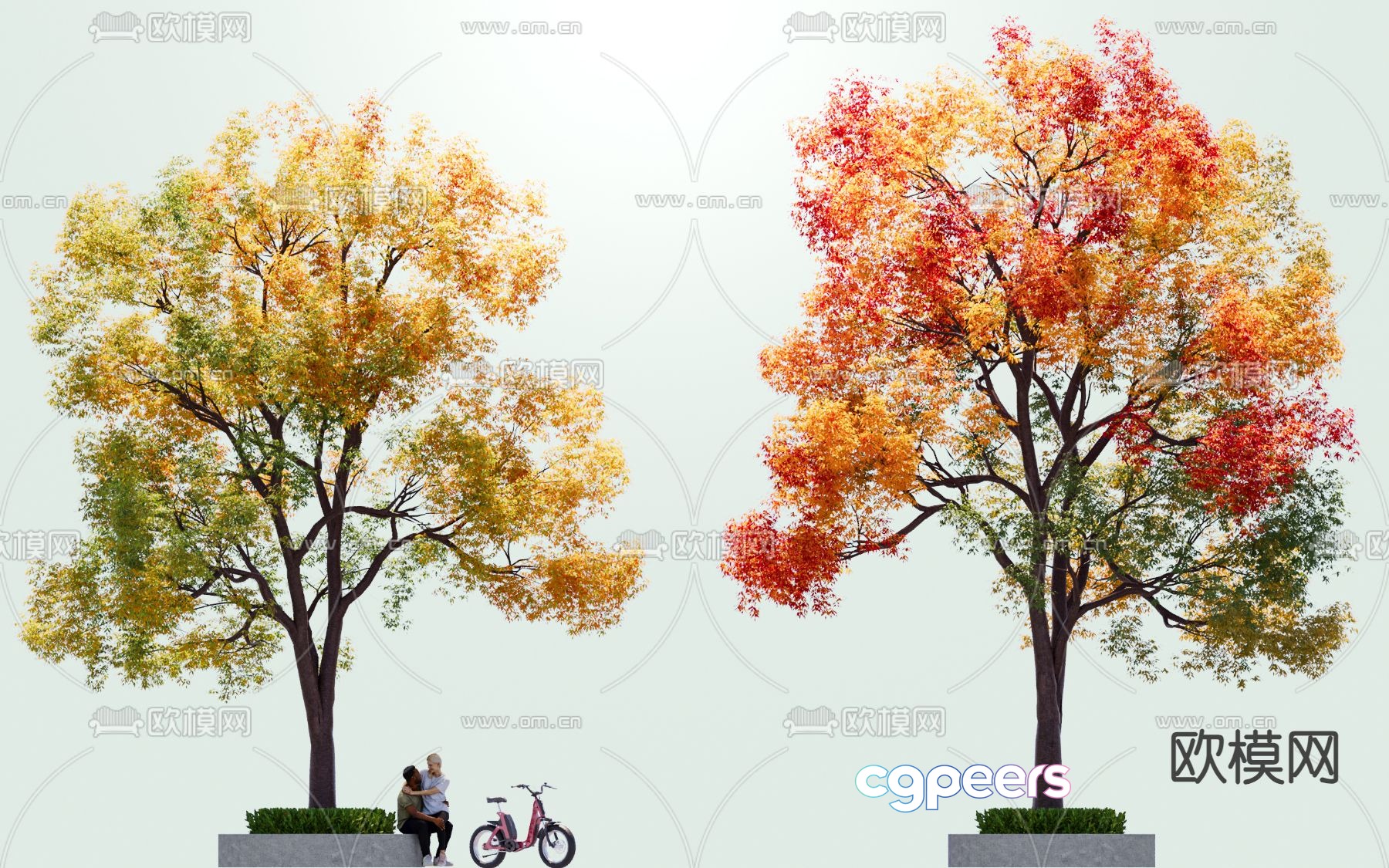 tallow tree large tree deciduous tree colorful tree 3d model tallow tree large tree deciduous tree colorful tree 3d model