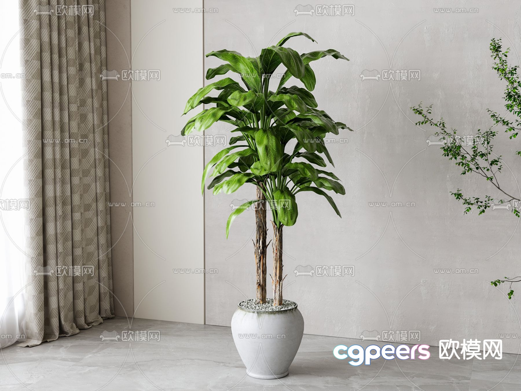 Potted plant Dieffenbachia 3D model Potted plant Dieffenbachia 3D model