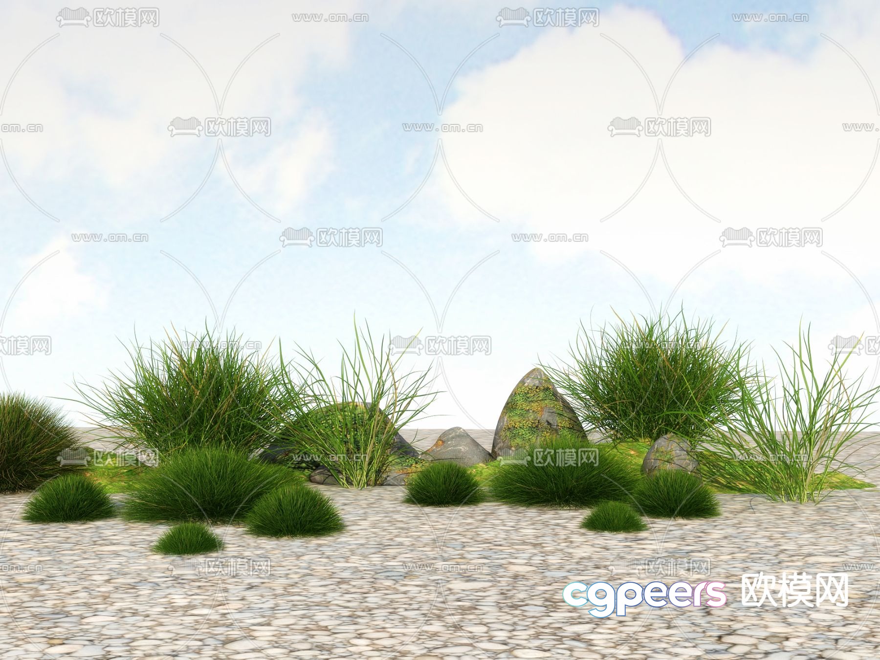 Flowers and plants Wild grass Weeds 3d model Flowers and plants Wild grass Weeds 3d model