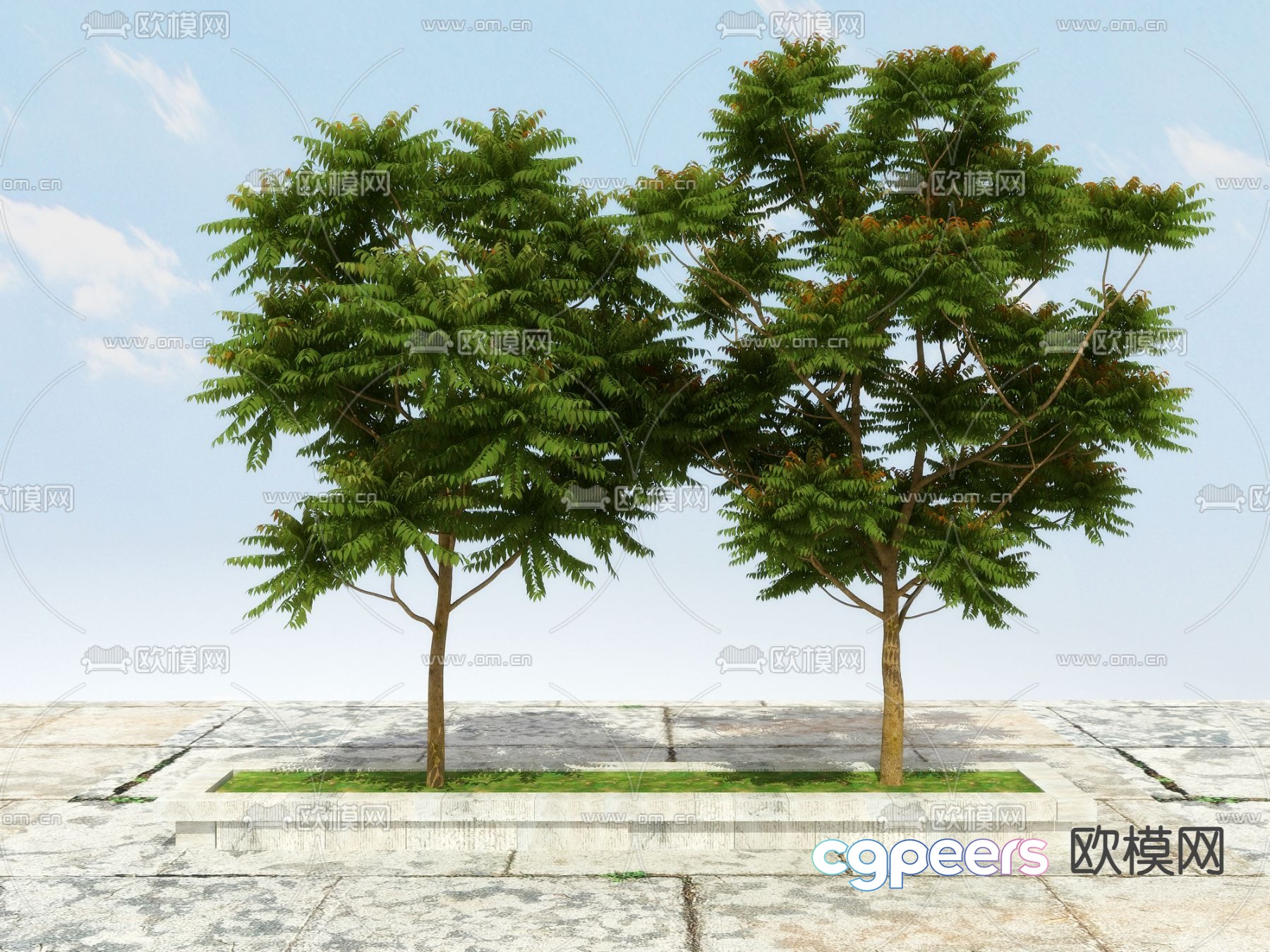 Herbs tree fragrant spring tree 3d model Herbs tree fragrant spring tree 3d model