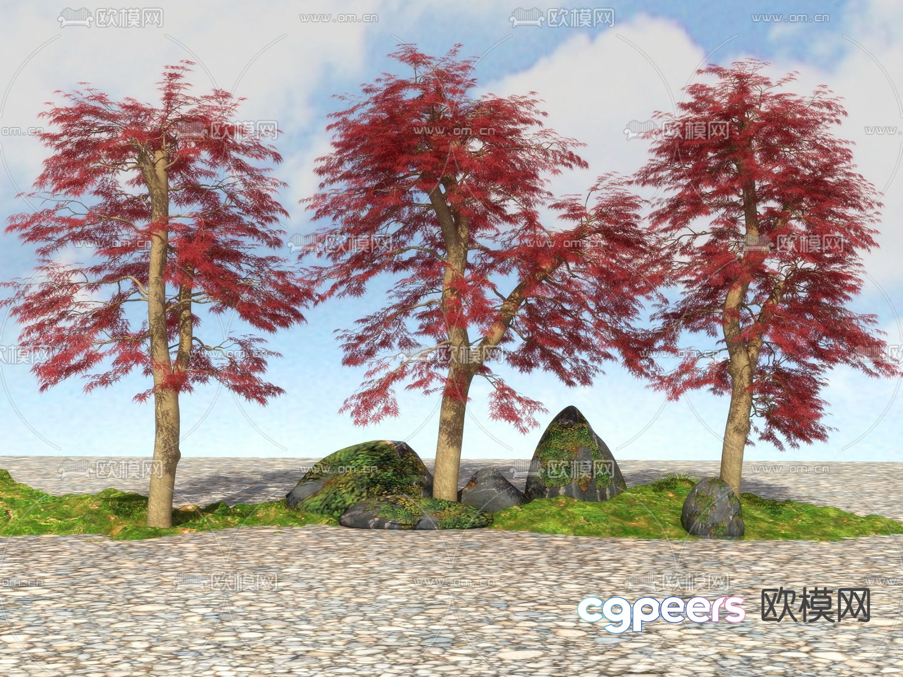 Landscape tree tree red maple 3d model Landscape tree tree red maple 3d model