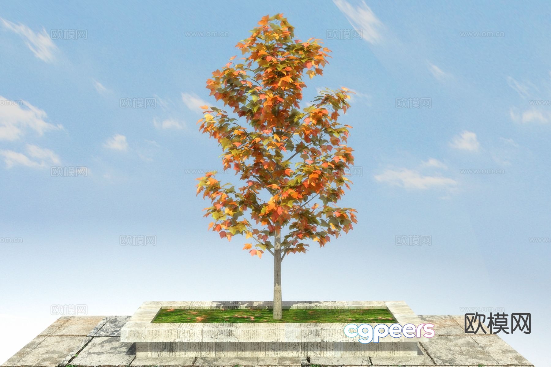 Landscape tree tree maple 3d model Landscape tree tree maple 3d model