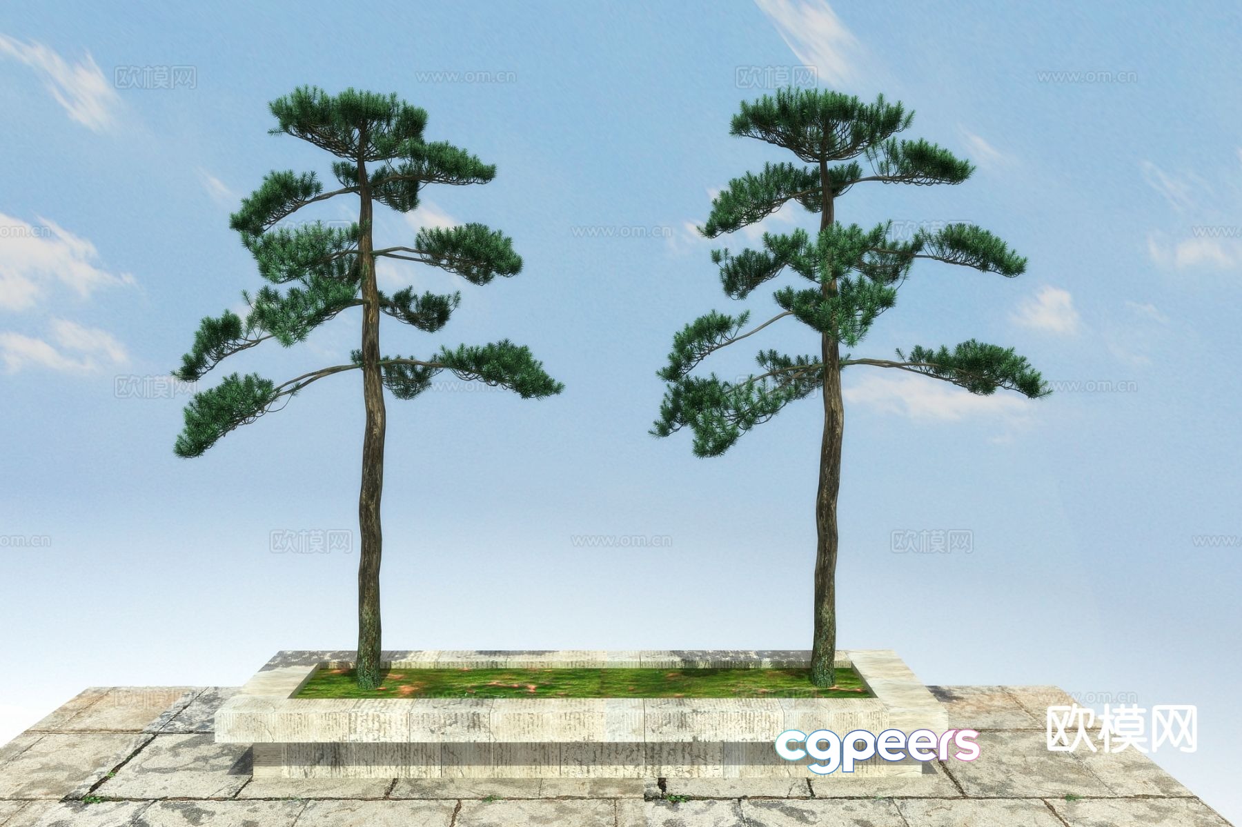 New Chinese style pine tree 3d model New Chinese style pine tree 3d model