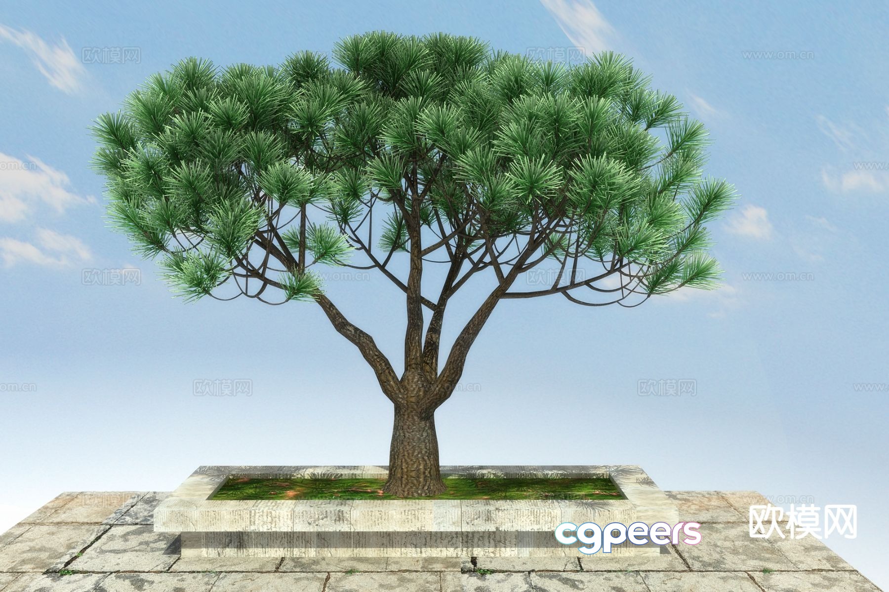 New Chinese style pine tree 3d model New Chinese style pine tree 3d model