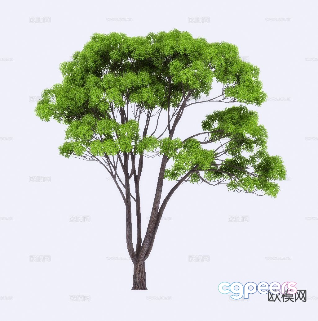 Landscape tree 3d model Landscape tree 3d model