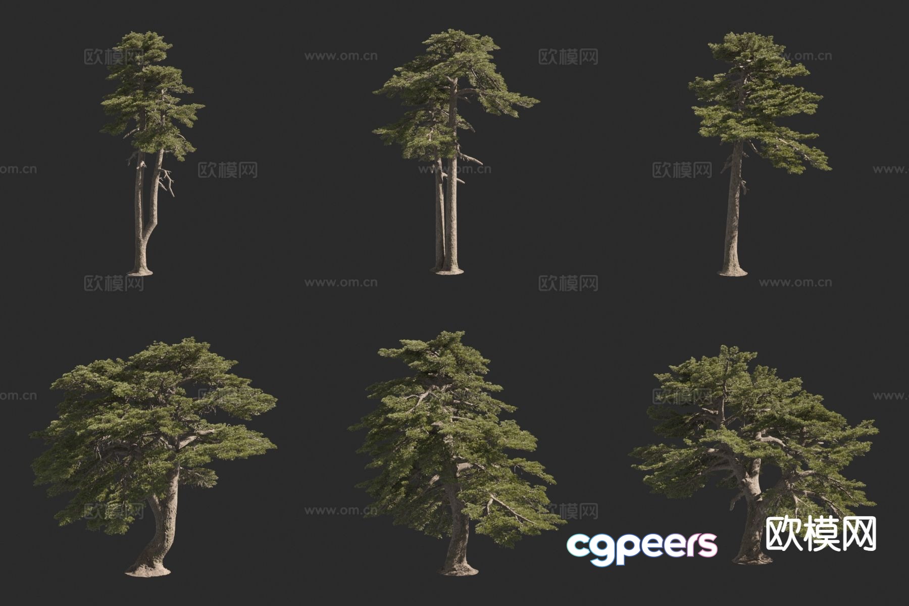 Scots pine bosnian pine landscape tree 3d model Scots pine bosnian pine landscape tree 3d model