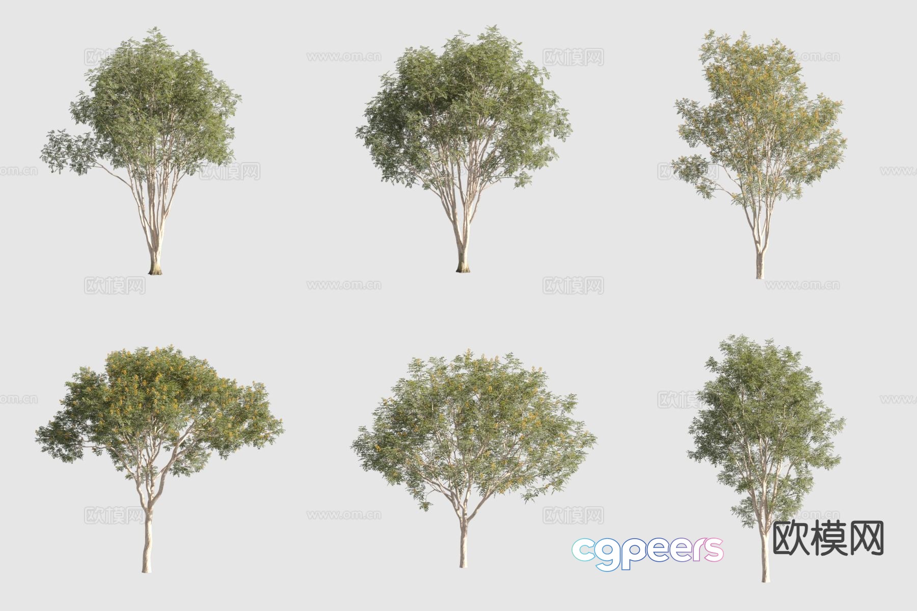 Brazilian iron frame wood landscape tree 3d model Brazilian iron frame wood landscape tree 3d model