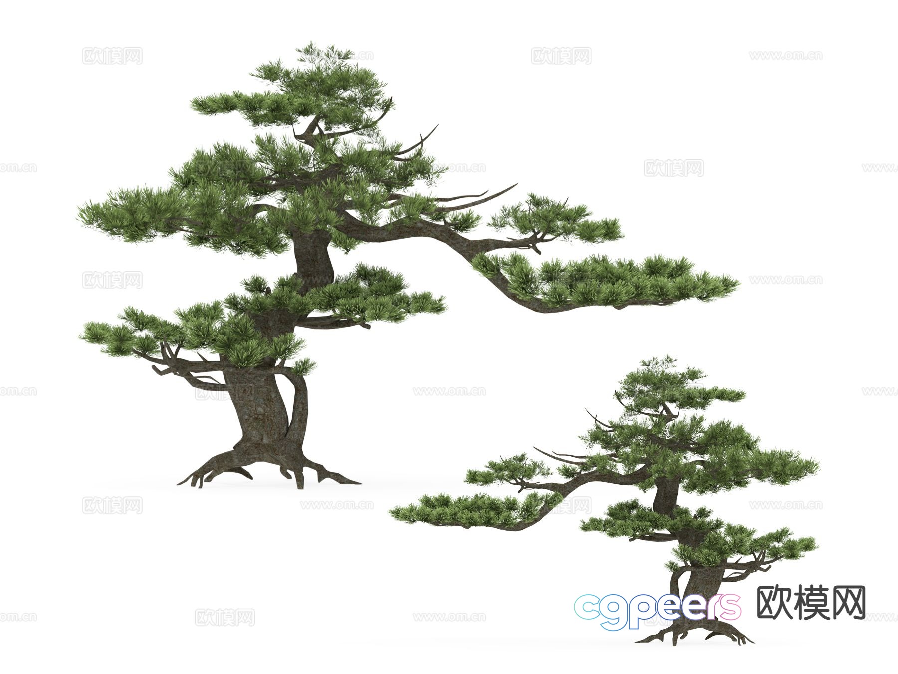 Landscape tree Pine tree Big tree Tree 3d model Landscape tree Pine tree Big tree Tree 3d model