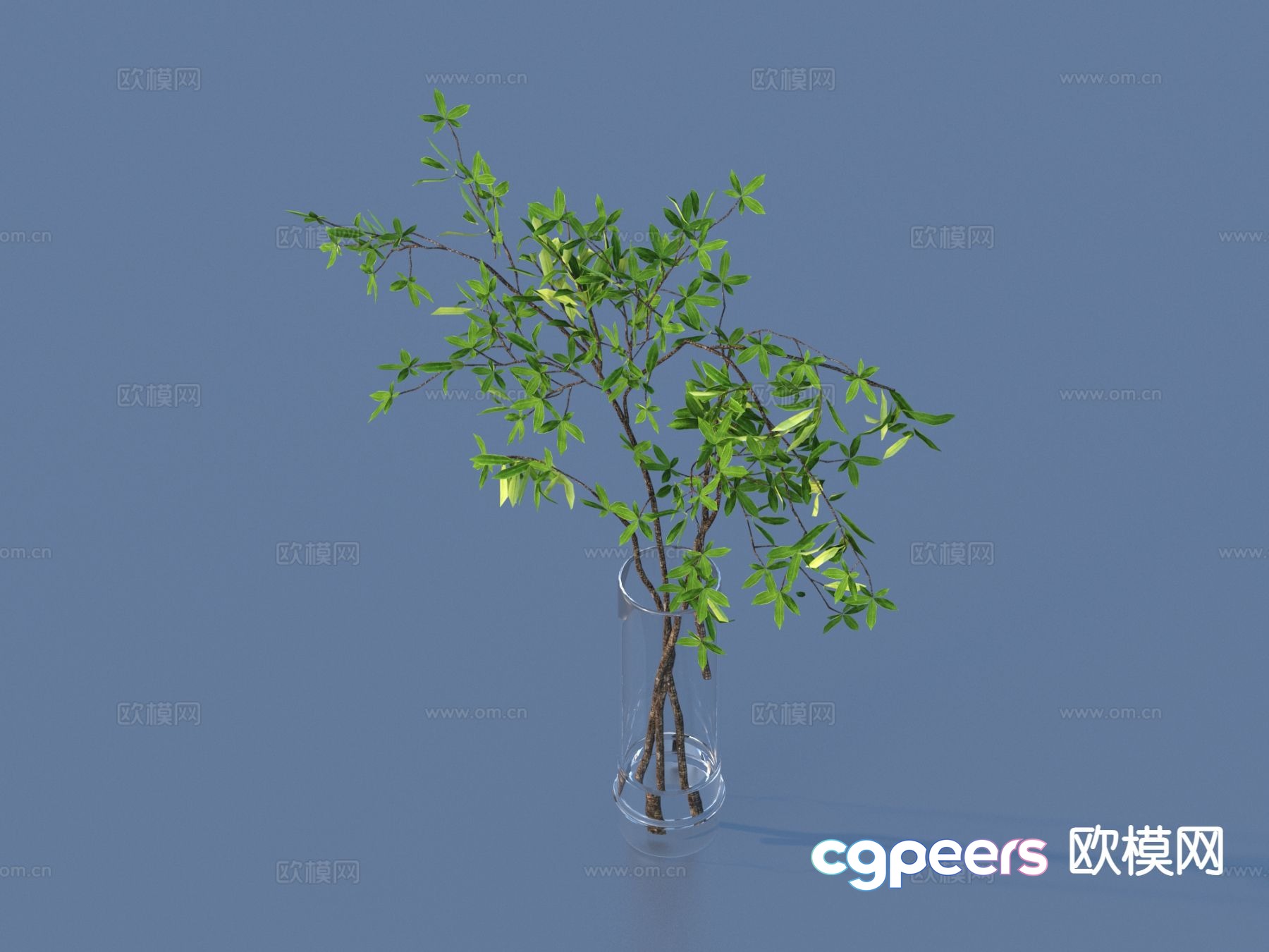Aquatic plants hydroponic green plants 3D model Aquatic plants hydroponic green plants 3D model