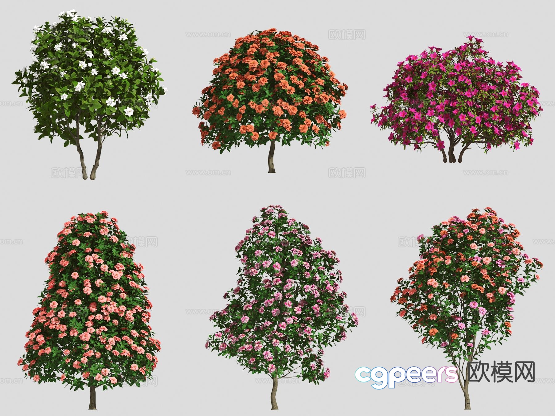 trees flower tree 3d model trees flower tree 3d model