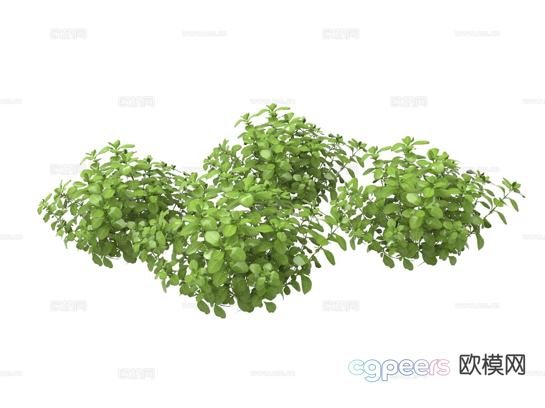 Green plants Flowers and plants 3d model Green plants Flowers and plants 3d model