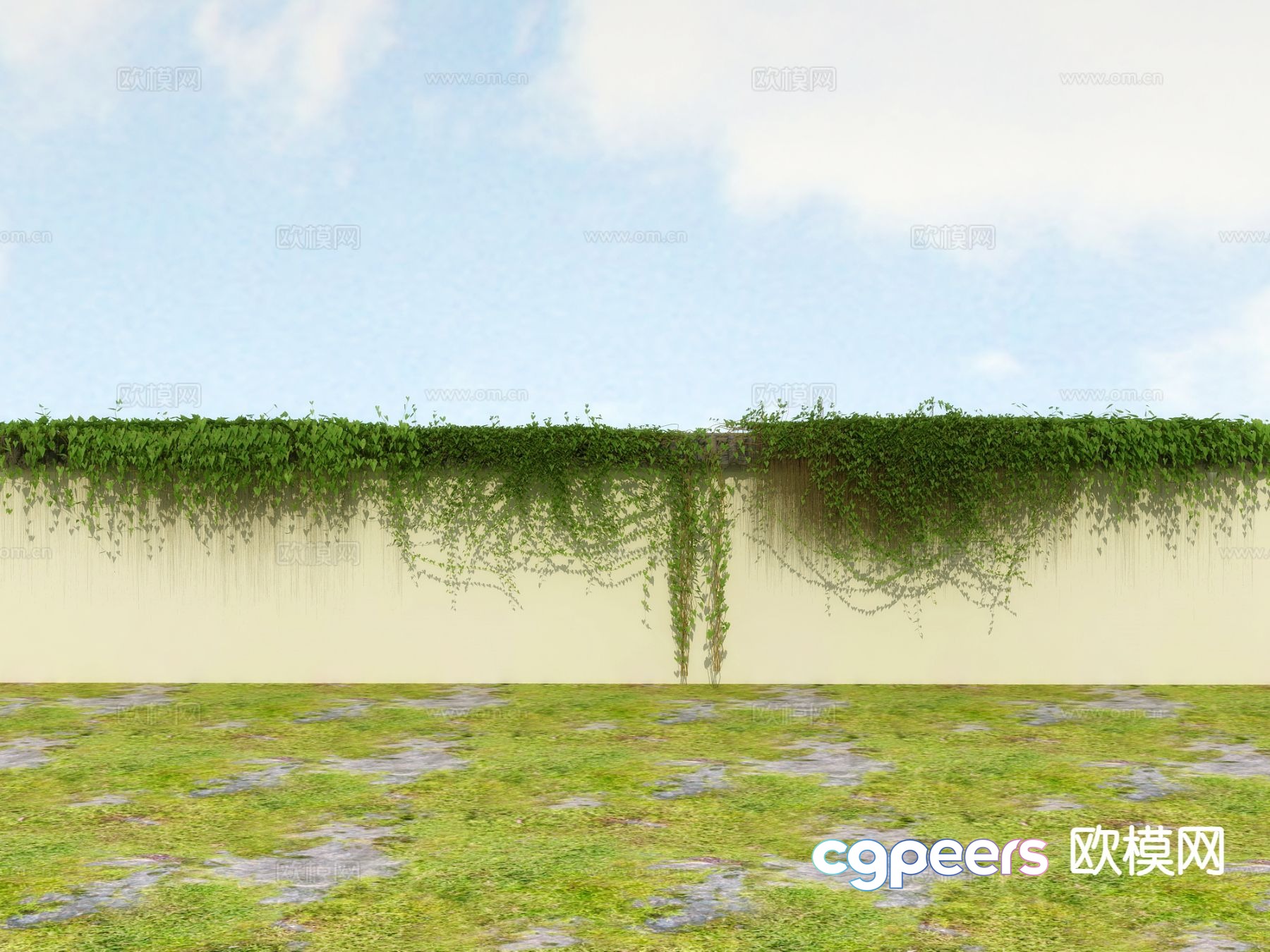 Vine Climbing Ivy 3D Model Vine Climbing Ivy 3D Model