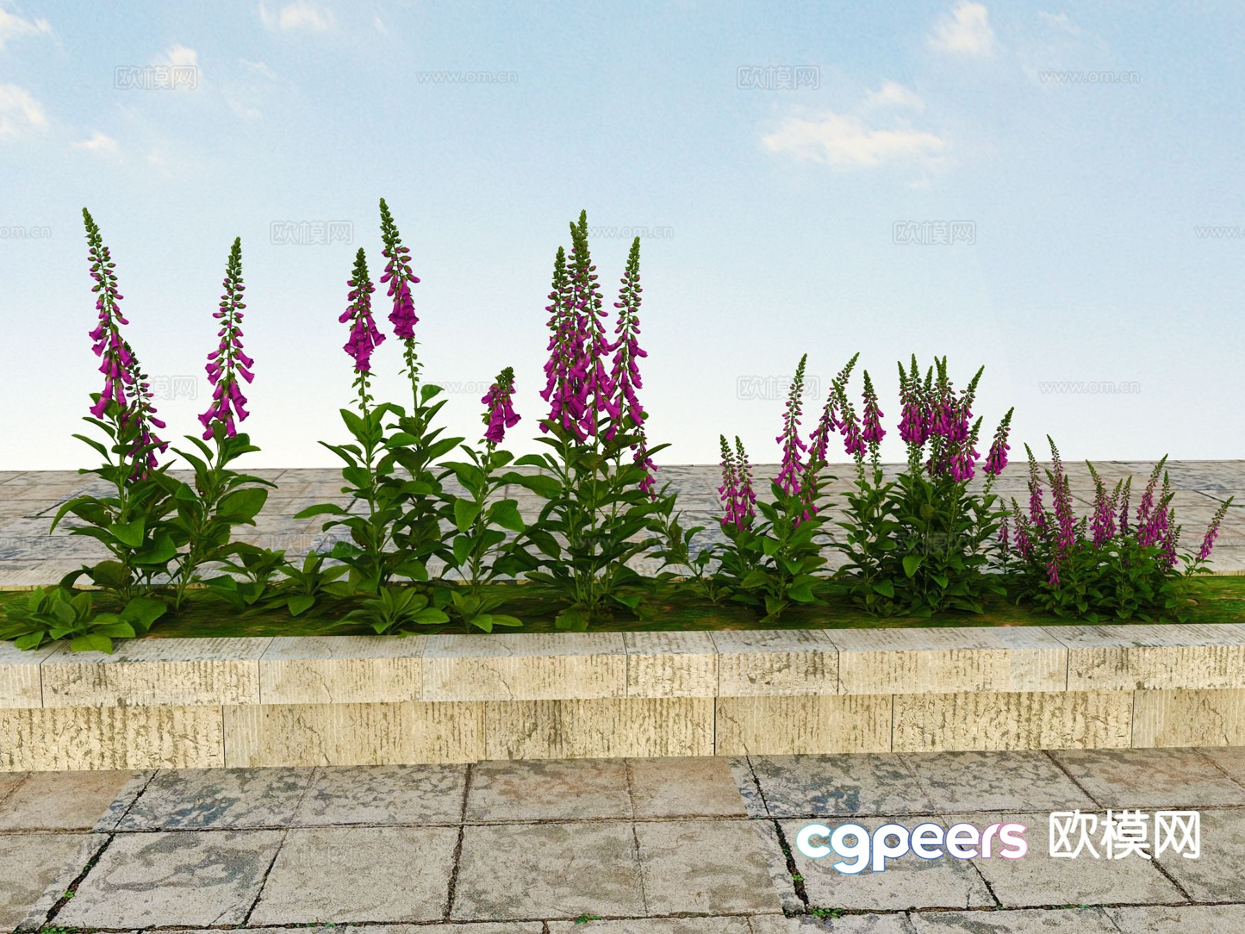 Flowers and plants shrubs viewing plants 3d model Flowers and plants shrubs viewing plants 3d model