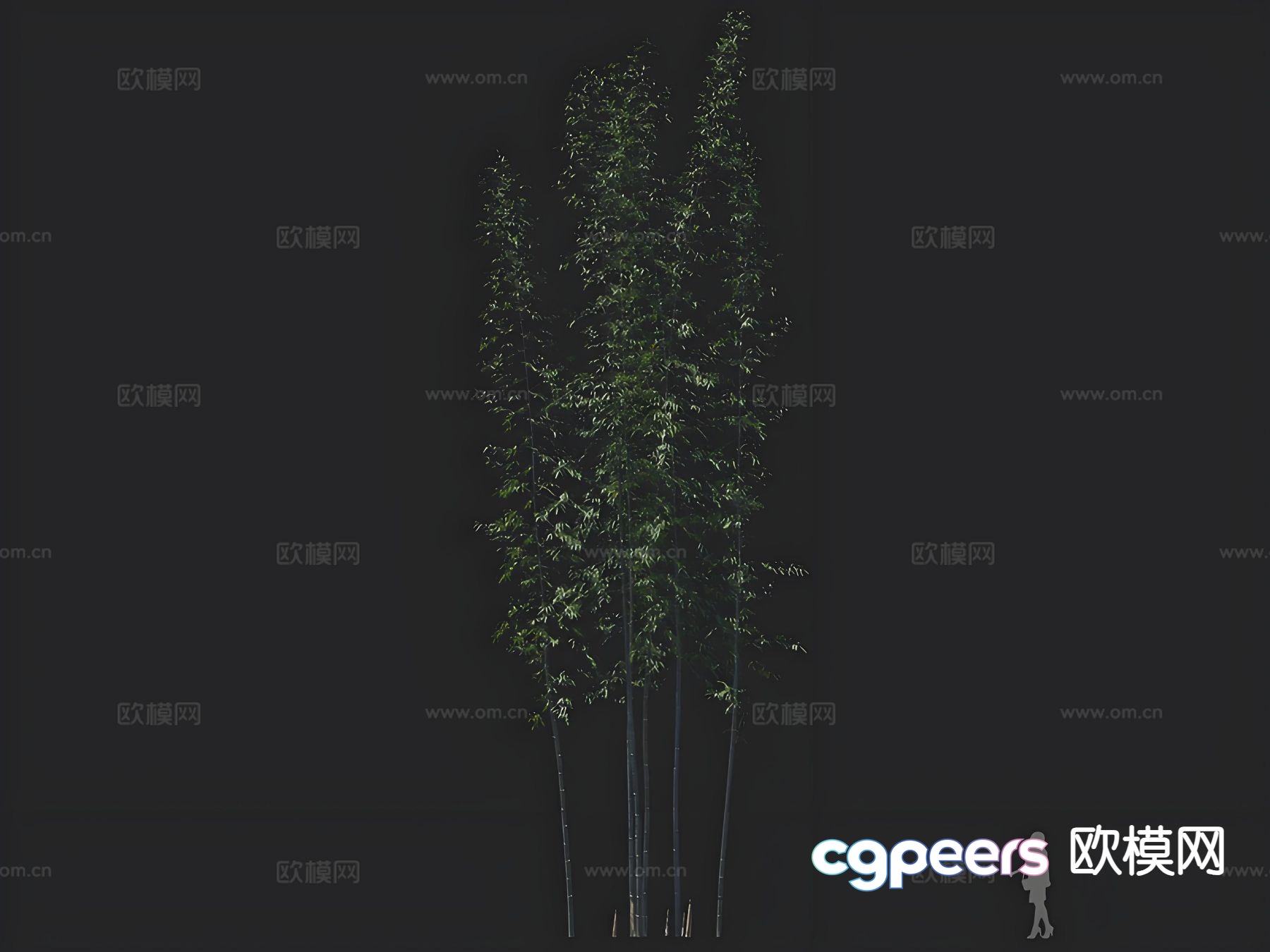 bamboo landscape bamboo bamboo 3d model bamboo landscape bamboo bamboo 3d model