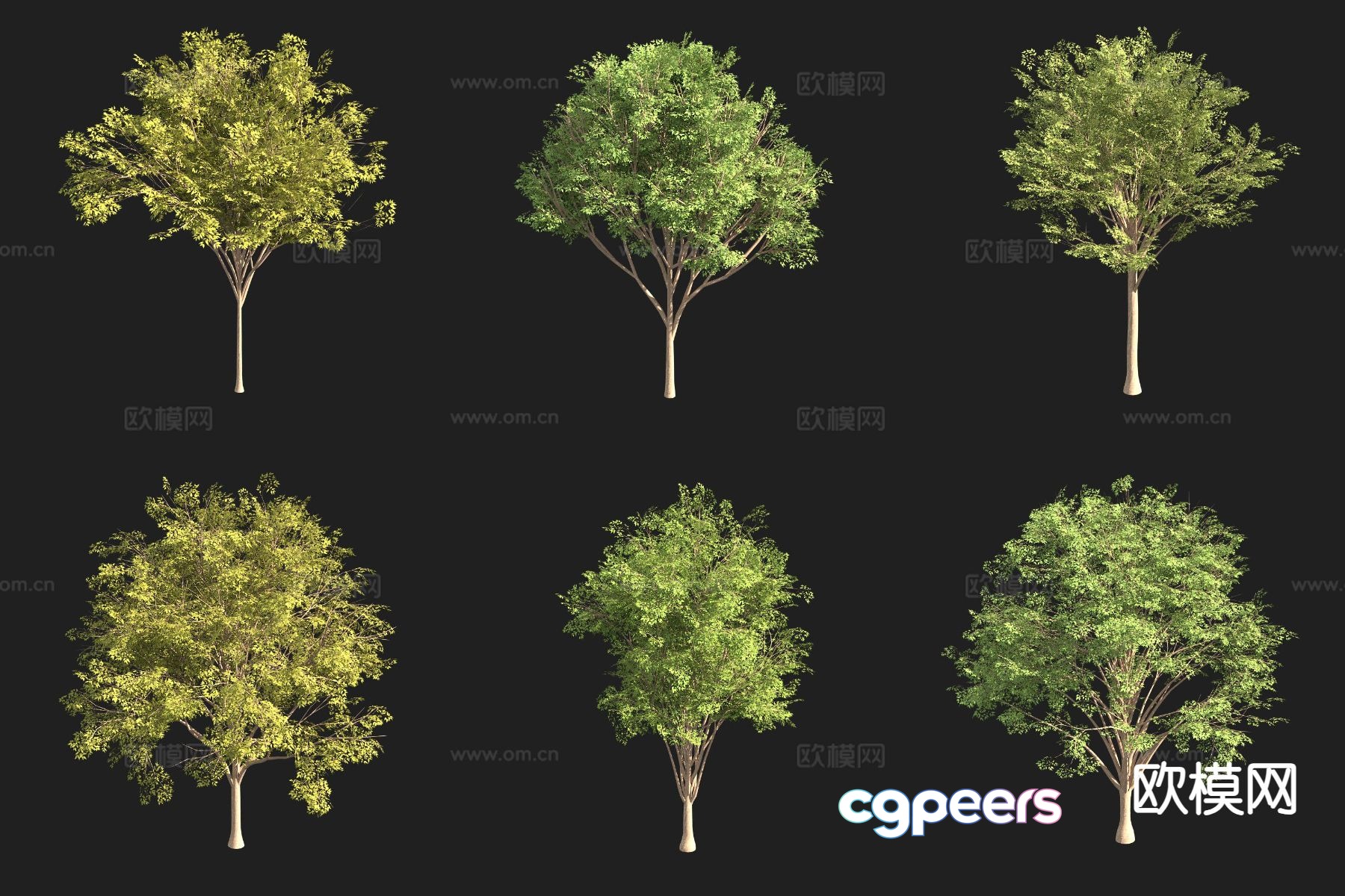 beech tree landscape tree 3d model beech tree landscape tree 3d model
