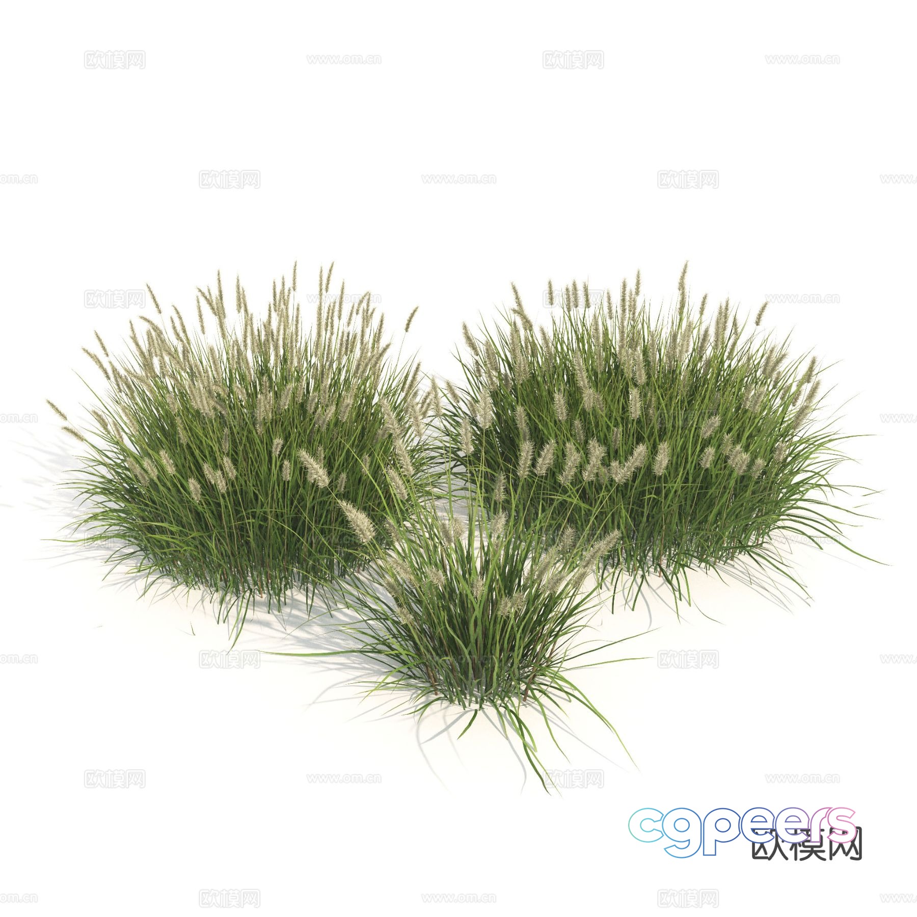 Plants Green Plants Shrubs Flowers Thatch 3d model Plants Green Plants Shrubs Flowers Thatch 3d model